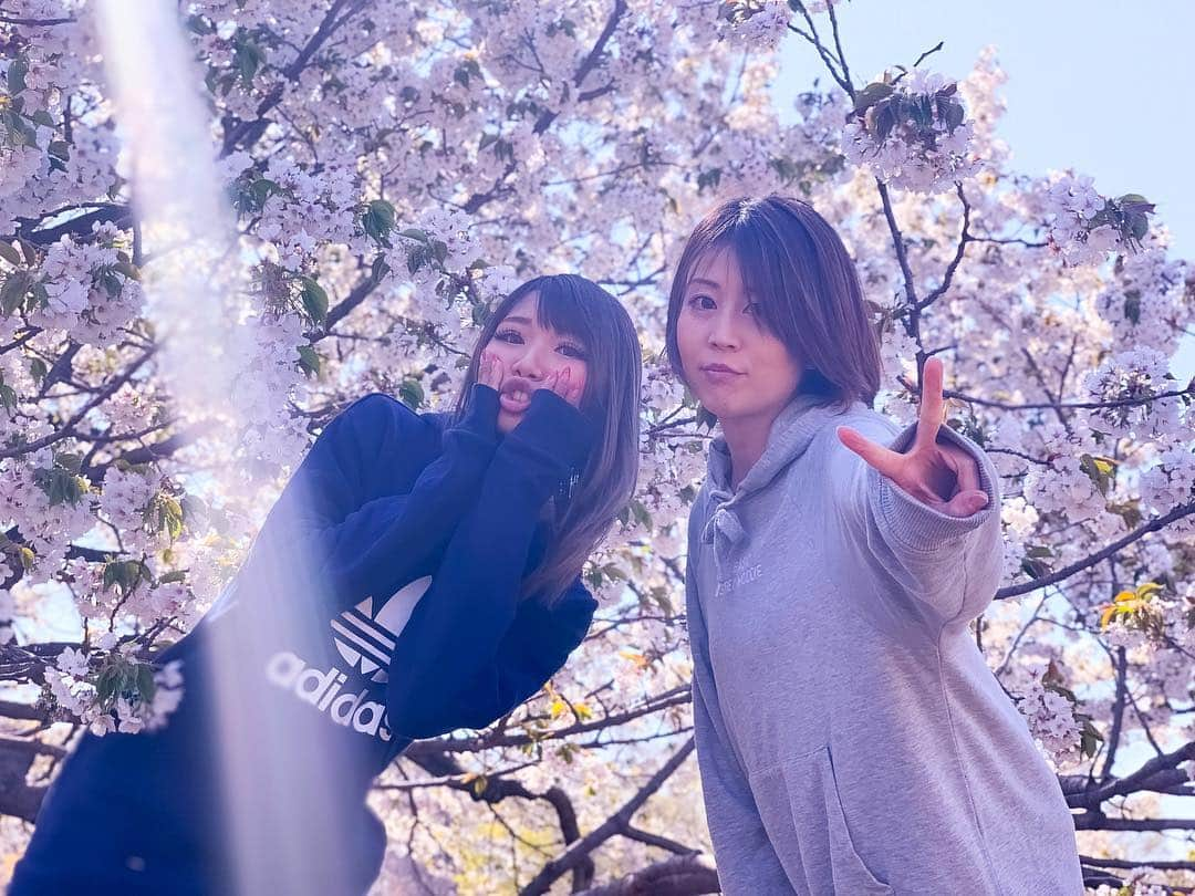 高橋由真さんのインスタグラム写真 - (高橋由真Instagram)「さくらさくら〜🌸 ゆかさんとのデートは最近はピクニック(花見) いや、前回の花見リベンジ。笑笑  天気も良くて眩しくてゆかさんはとんでもなく険しい顔してるけど楽しかったと信じてるよ…………。 . 風は強かったけどポカポカ陽気で癒されたあ〜🤤💕 . お花見って最高だなあ！！！！ でもお酒は飲まない高橋's！ 次はBBQだな！！🍖 . #桜 #花見 #ピクニック #代々木公園 #突風やばし #さくら #マック食べた #今回はお弁当作らない手抜き #ゆかさん #眩しそう」4月7日 22時18分 - yumachi1021