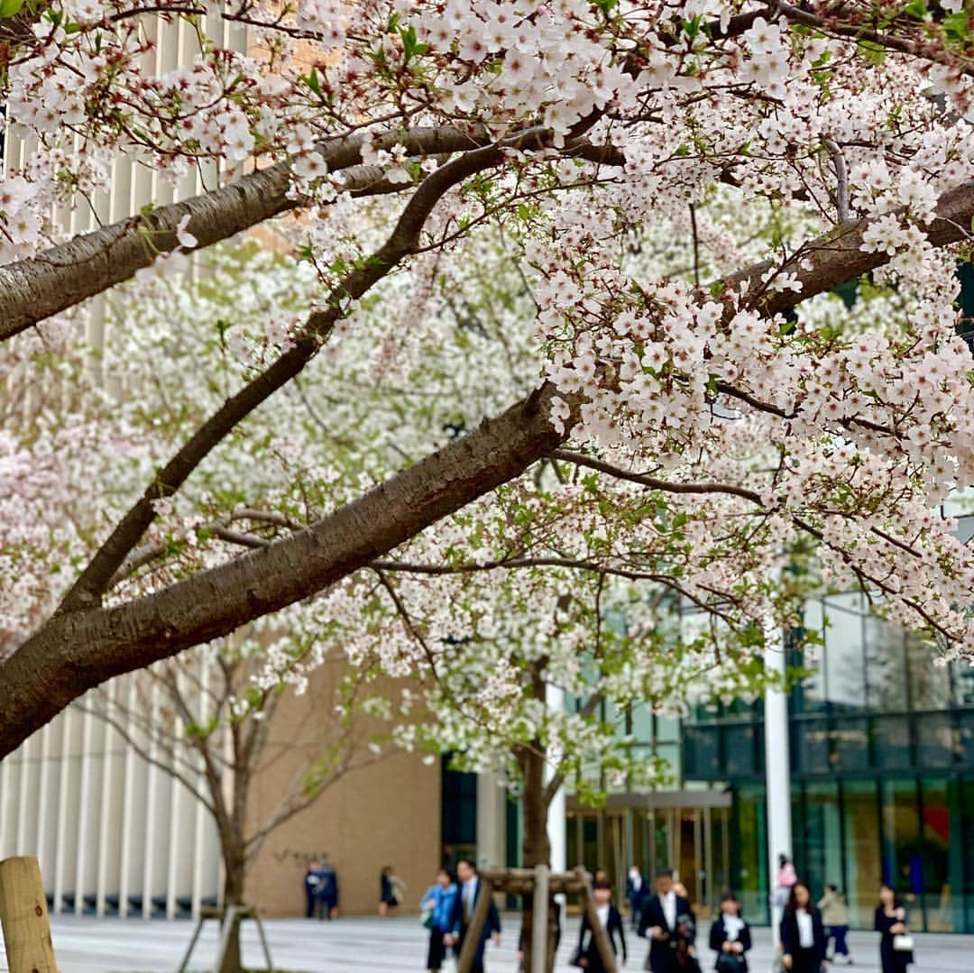 maki ogawaさんのインスタグラム写真 - (maki ogawaInstagram)「I attended my son's university entrance ceremony today. (So I was out all day long, didn't do anything for giveaway💦💦💦I’ll choose  two winners tomorrow, so sorry🙏🙏) ﻿ ﻿ His major is English. He has to go a lot of countries to learn English in next four years. I have to pay a lot and earn a lot for him😂😂 But, he’ll teach English for me someday, I hope✨✨✨﻿ ﻿ 今日は息子の大学の入学式！ざっくり言うと英語学科です。これからの4年間で色々な国で英語を勉強します。 お金は飛びますが、プライスレス👍👍そのうち息子が私に英語を教えてくれるだろうことを願って、先行投資です🤣がんばってー🥰🥰」4月7日 22時38分 - cuteobento