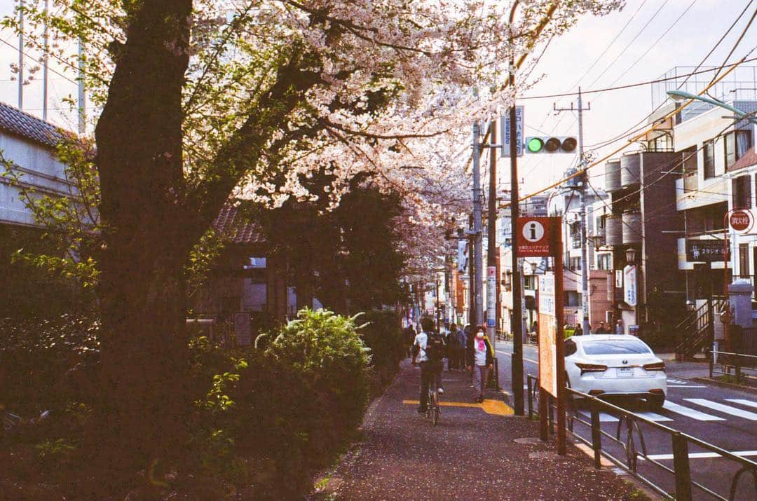 田島貴男さんのインスタグラム写真 - (田島貴男Instagram)「スナップ #フィルムカメラ #nikonf3 #nikkor35mmf14」4月7日 22時34分 - tajimatakao