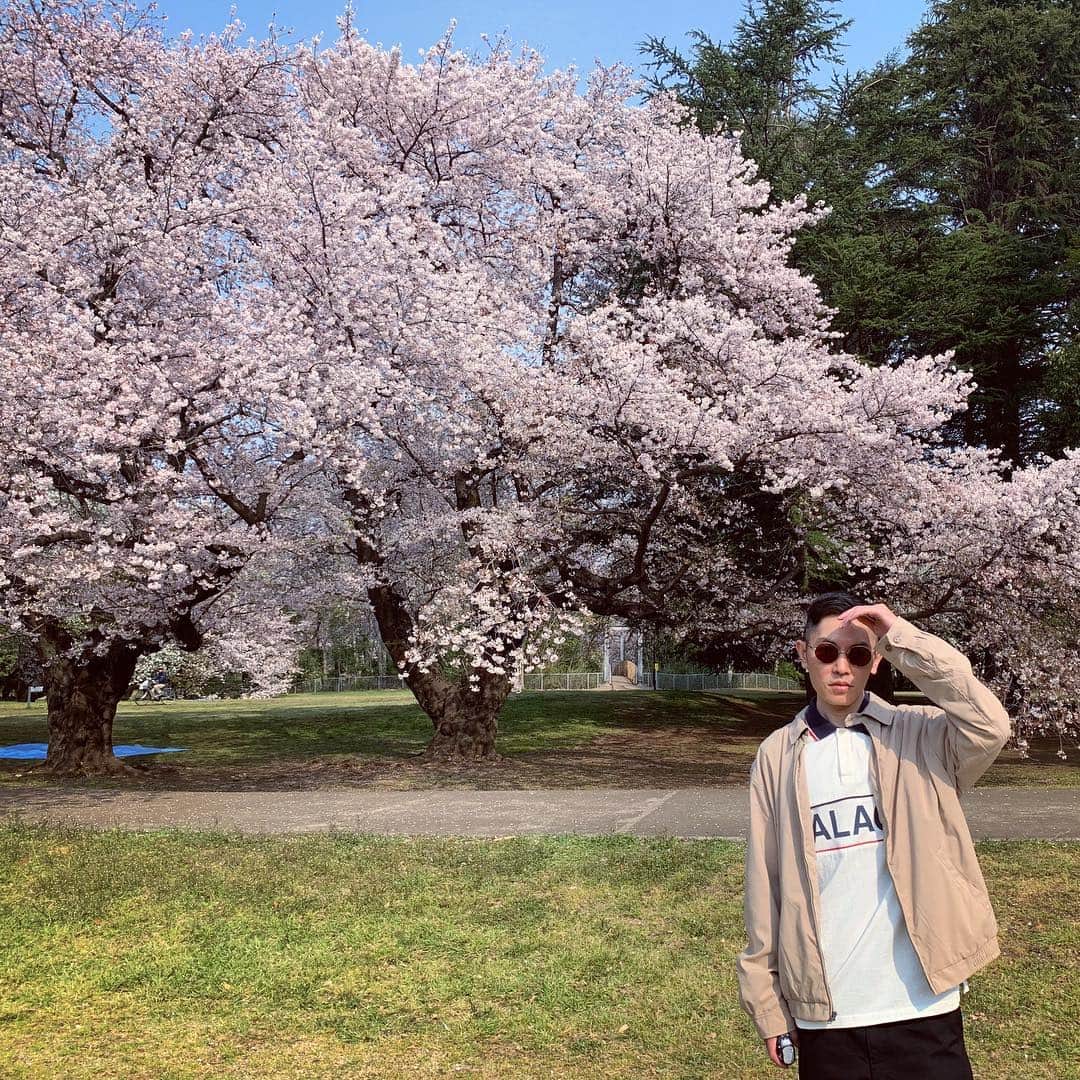 のインスタグラム：「お久しぶりです🌸皆さんお元気ですか？本日誕生日を迎えました。サンパブはなにしてんの？って言われてそうですねw 今自分は色々と新しい事に取り組んでいます。日々バタバタなのでSNSをする時間を削減してます。勿論しっかり楽曲も製作中です。また報告します。」
