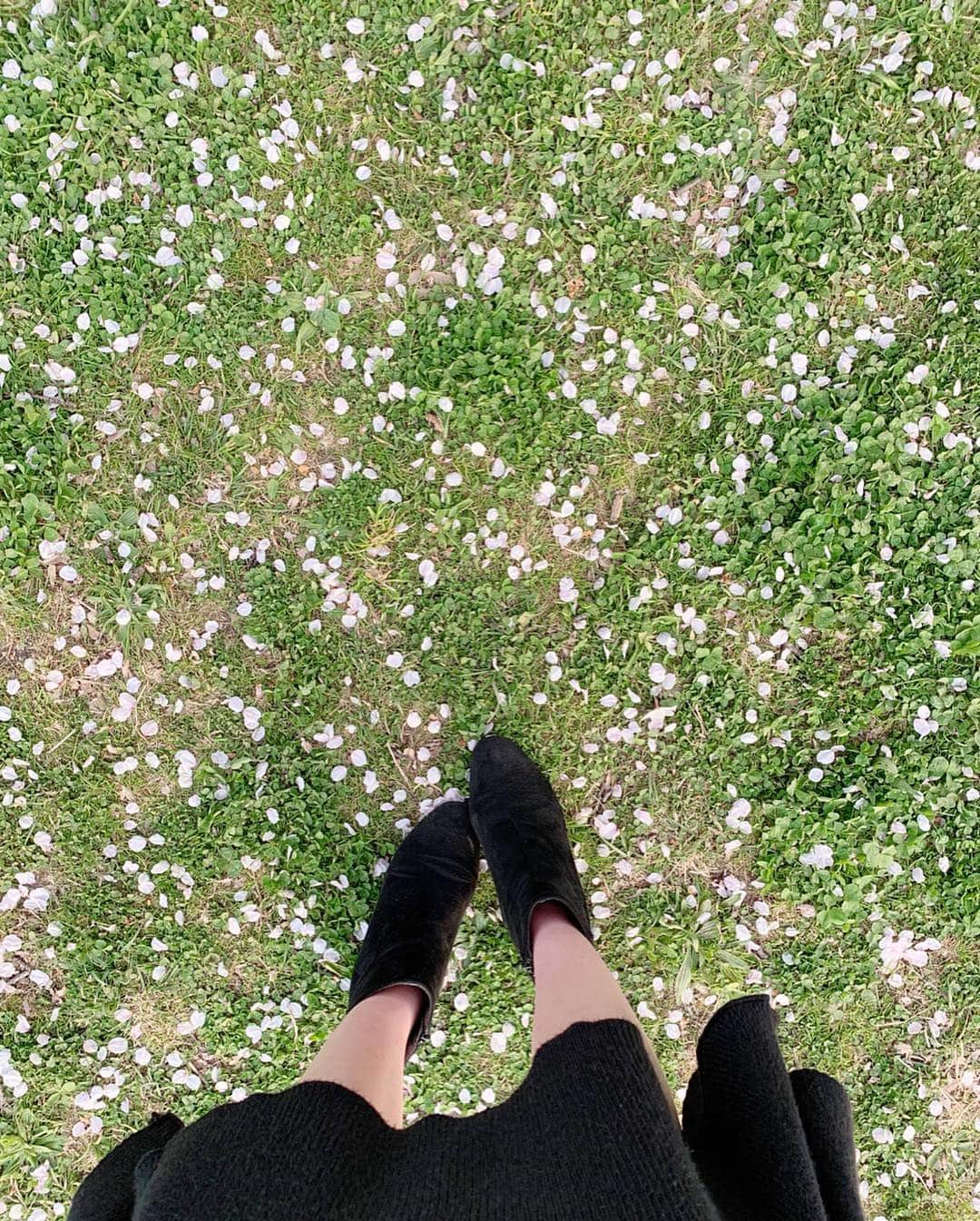 吉田怜菜さんのインスタグラム写真 - (吉田怜菜Instagram)「. . 時間を気にせず、 ゆっくーりと桜を眺めてきたよ 🌸 . ３枚目の写真は桜の絨毯っ！ . 満開の時はもちろんだけど、 風が吹いて花弁がひらひら舞ってるときも 綺麗ですごく好き ☺️✨ . #桜 #さくら #お花見 #花よりだんご🍡  #春服 #fashion #princessfashion #code #olコーデ #春コーデ #ライダース #ライダース女子 #ライダースコーデ #패션 #데일리룩 #팔로우미 #패션스타그램 #韓国語かじってた💓」4月7日 22時53分 - yoshida_reina_