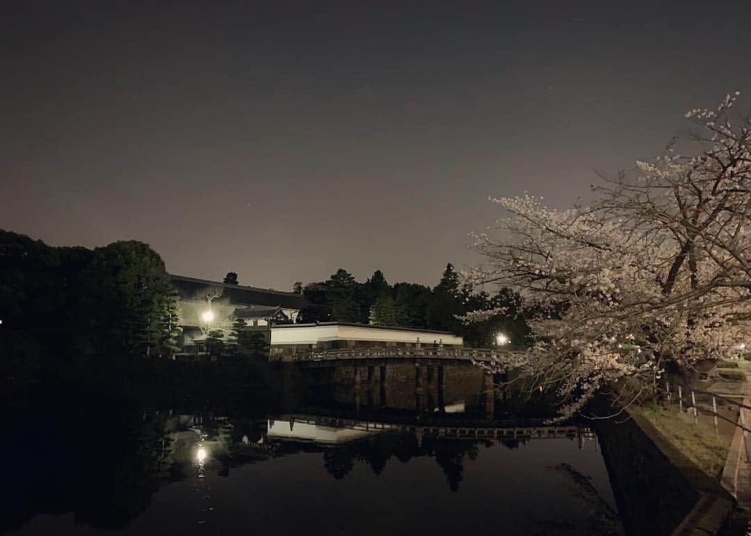 大杉亜依里さんのインスタグラム写真 - (大杉亜依里Instagram)「皇居 平川門／imperialpalace  #nightrun  NIGHT RUN TOKYO🗼#25 14.09km 5'00"/km 1:10:28 皇居の平川門。桜がいいねぇ。 和だね。和。 . . #running #ランニング #TOKYO #東京 #JAPAN #皇居 #imperialpalace #平川門 #hirakawamon  #runlife #42195 #runningnight #runningtime #tokyonight #enjoyrunning #onrunning #onfriends #garmin #tokyorun」4月7日 22時54分 - osugiairi_official