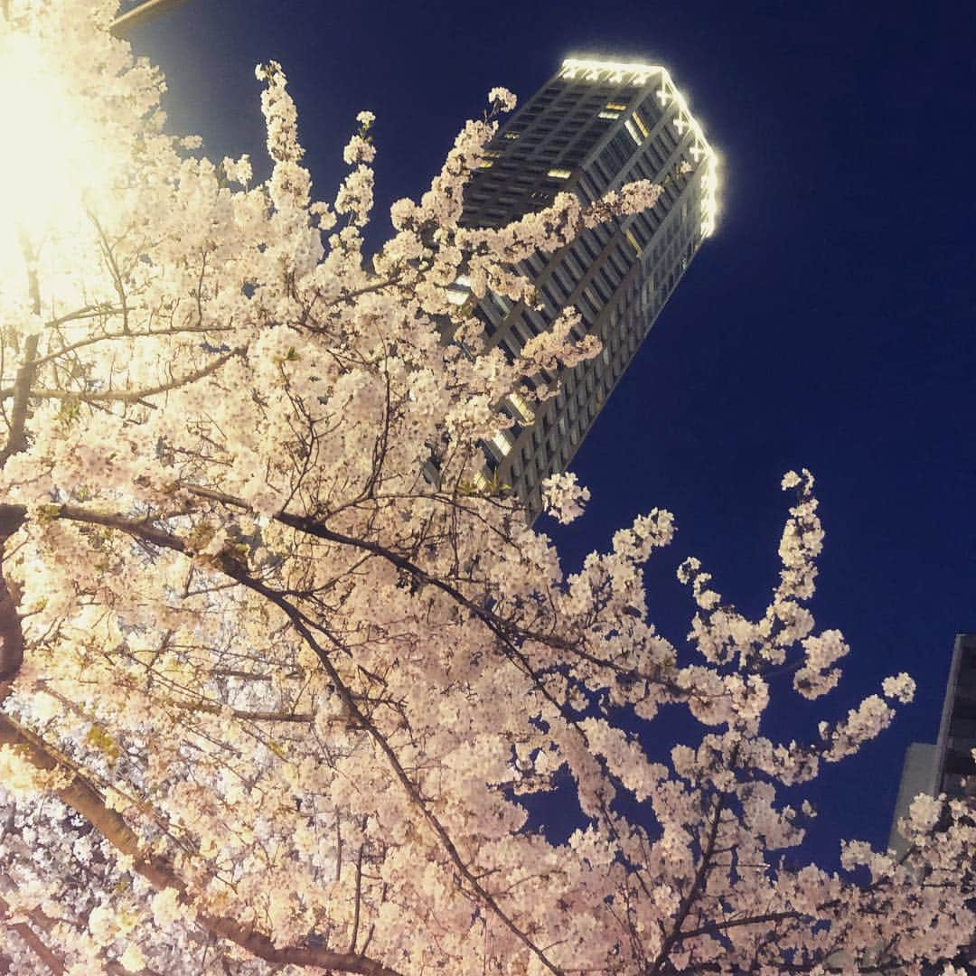 永尾麟ノ介さんのインスタグラム写真 - (永尾麟ノ介Instagram)「お花見！！！ . #桜 #お花見 #アクロバット #トリッキング #タンブリング #ダンス #ブレイクダンス #tricking #parkour #tumbling #dance #breakdance #ninja #俳優 #actor」4月7日 22時57分 - rinnosuke_nagao