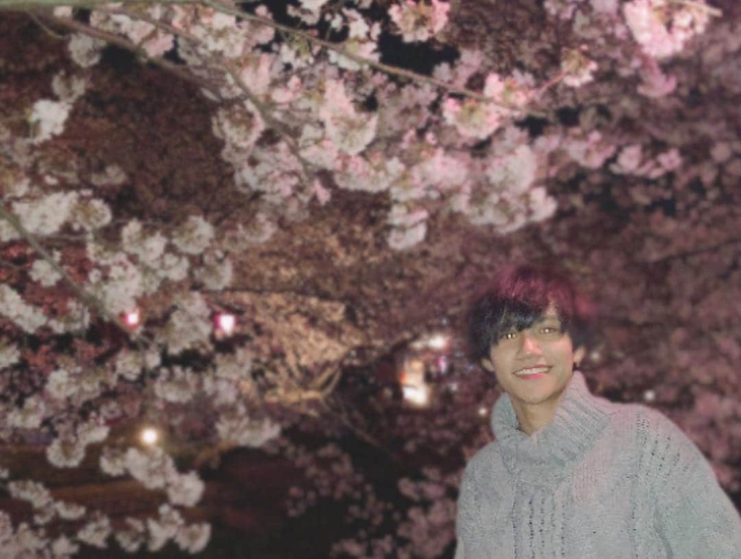 まういさんのインスタグラム写真 - (まういInstagram)「海老川桜俺は好きだぜ 都会みたいにうじゃうじゃ人いないしポンポンかわいい桜がドームみてえですごい綺麗だった！ じゃがバターと焼きそばも最高だったねぇ ベビーカステラはコンビニ以下だったけど。(笑) 今年も来れて良かったよ。 いい春だなあ  #船橋 #海老川 #海老川ジョギングロード #お花見」4月7日 22時57分 - mauie_cayton