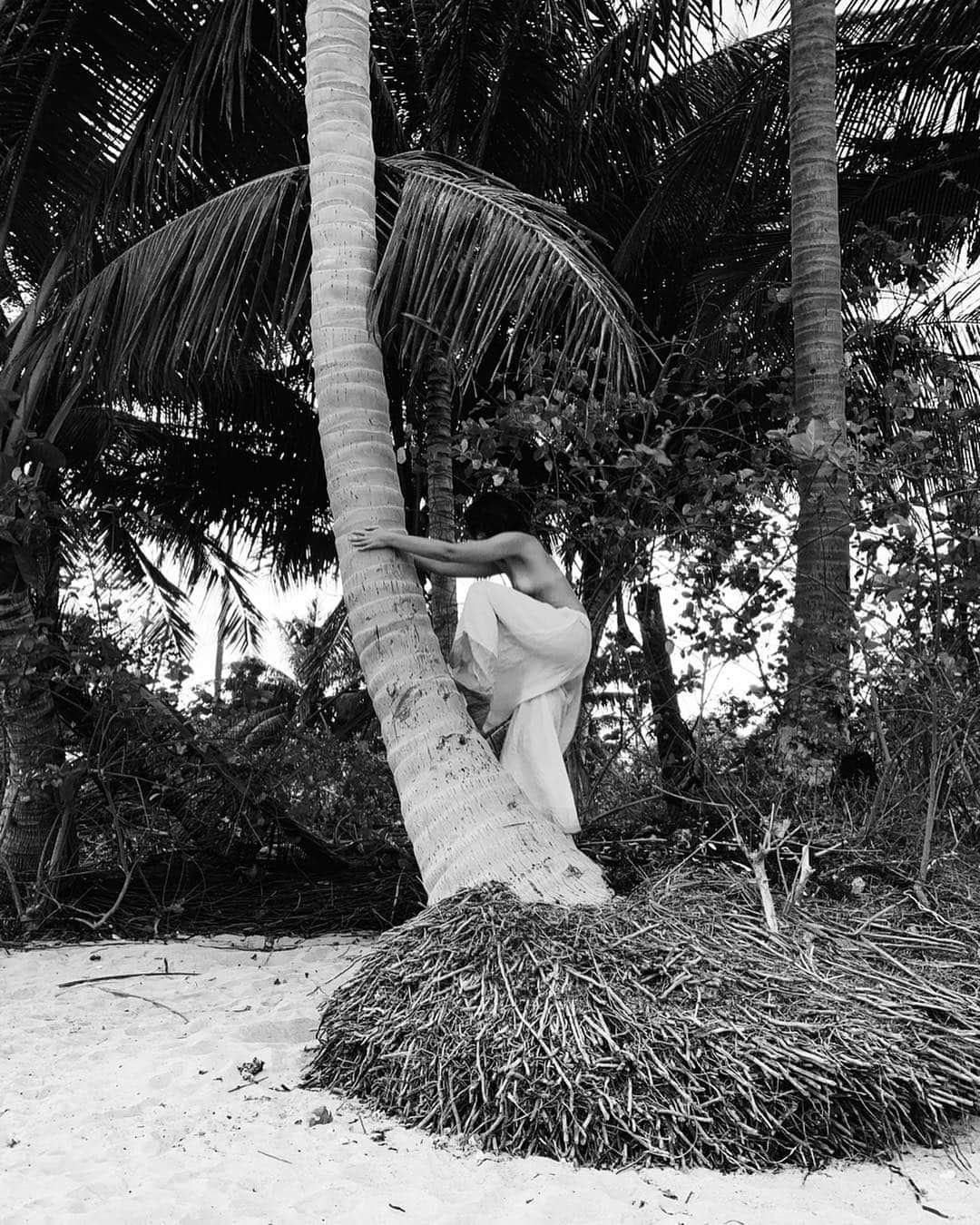 Amelia Zadroのインスタグラム：「Phase 1: tries to climb tree」