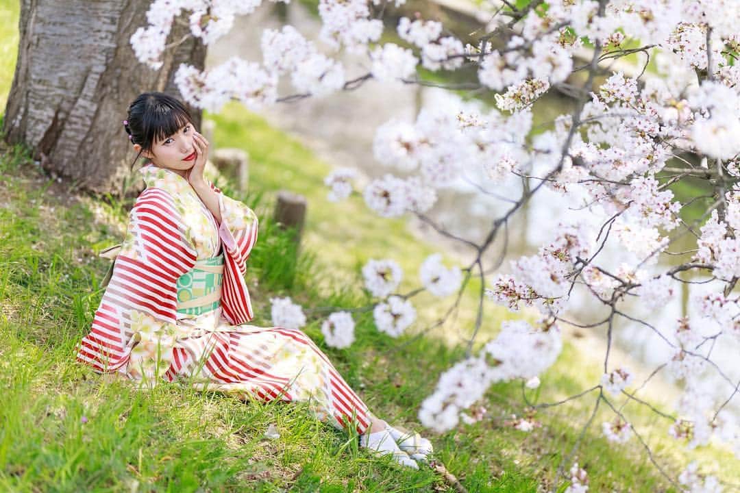 のインスタグラム：「川越着物速報いただいた🌸🌸🌸 . . #portrait #portraitphotography #good_portraits_world #lovers_nippon_portrait #portraits #jp_portrait部 #三つ編み #photography #写真好きな人と繋がりたい #ファインダー越しの私の世界 #instagood #fashion #photographer #photooftheday #東京カメラ部 #tokyocameraclub  #ポートレートしま専科 #japanesegirl #followme #ig_japan  #kawaiigirl #インスタグラマー  #sakura #sakura🌸 #今日のコーデ #着物」