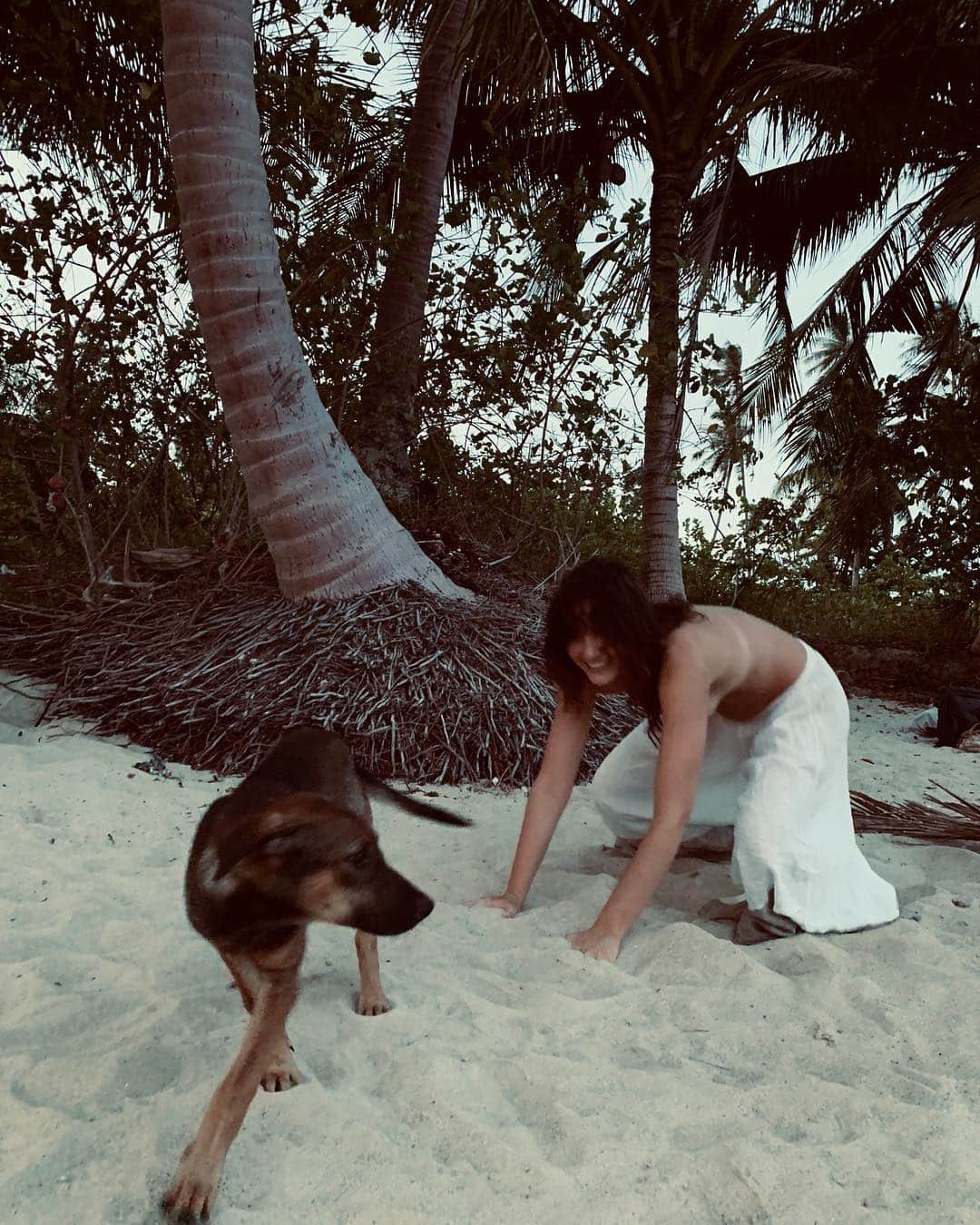 Amelia Zadroのインスタグラム：「Phase 3: remembers it’s easier to b a wild animal and forget about lyf on instagram」