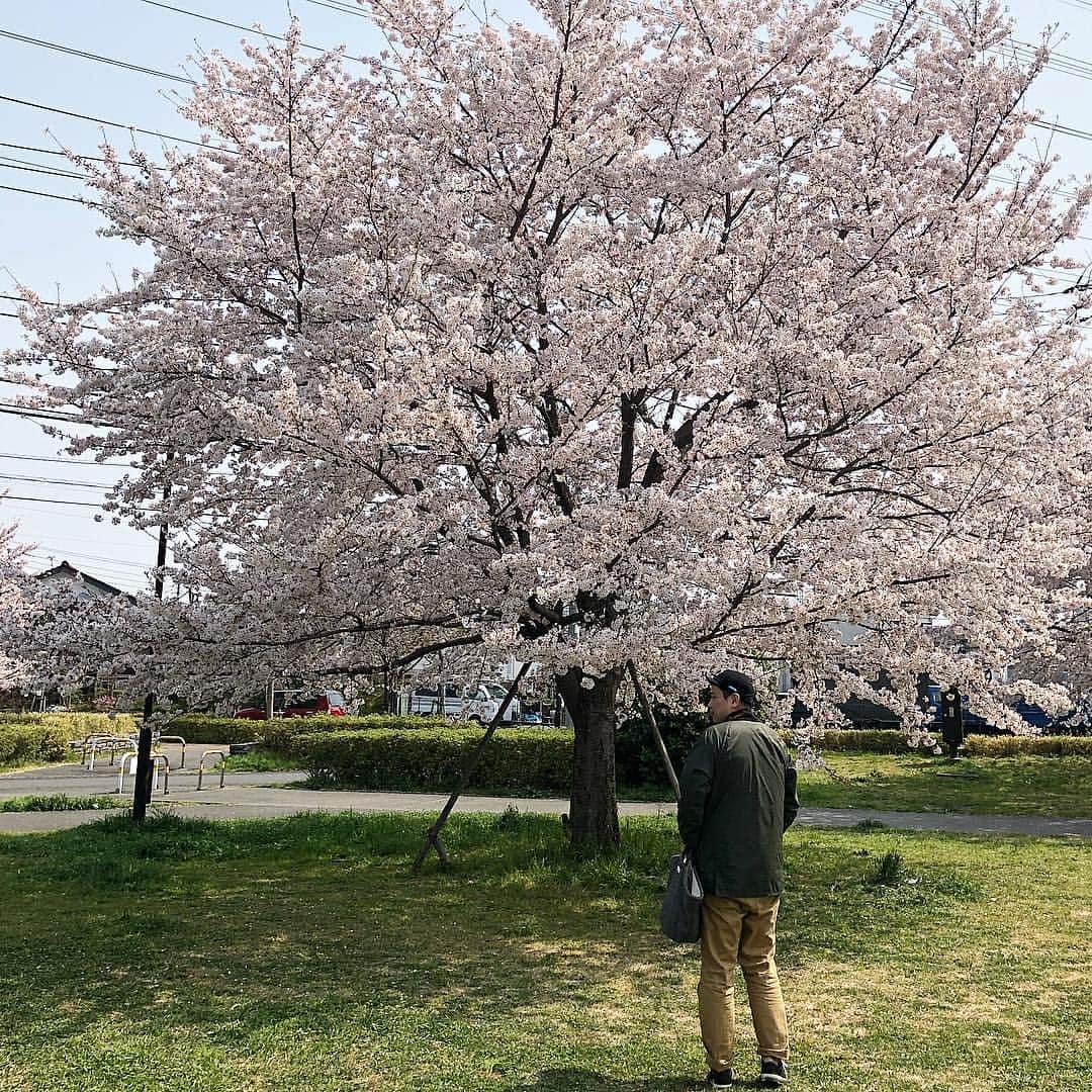 tomonashiさんのインスタグラム写真 - (tomonashiInstagram)「☺︎ お花見 . ＃お花見 ＃桜 . #barbour #バブアー #orslow #オアスロウ」4月7日 23時15分 - tomonashi