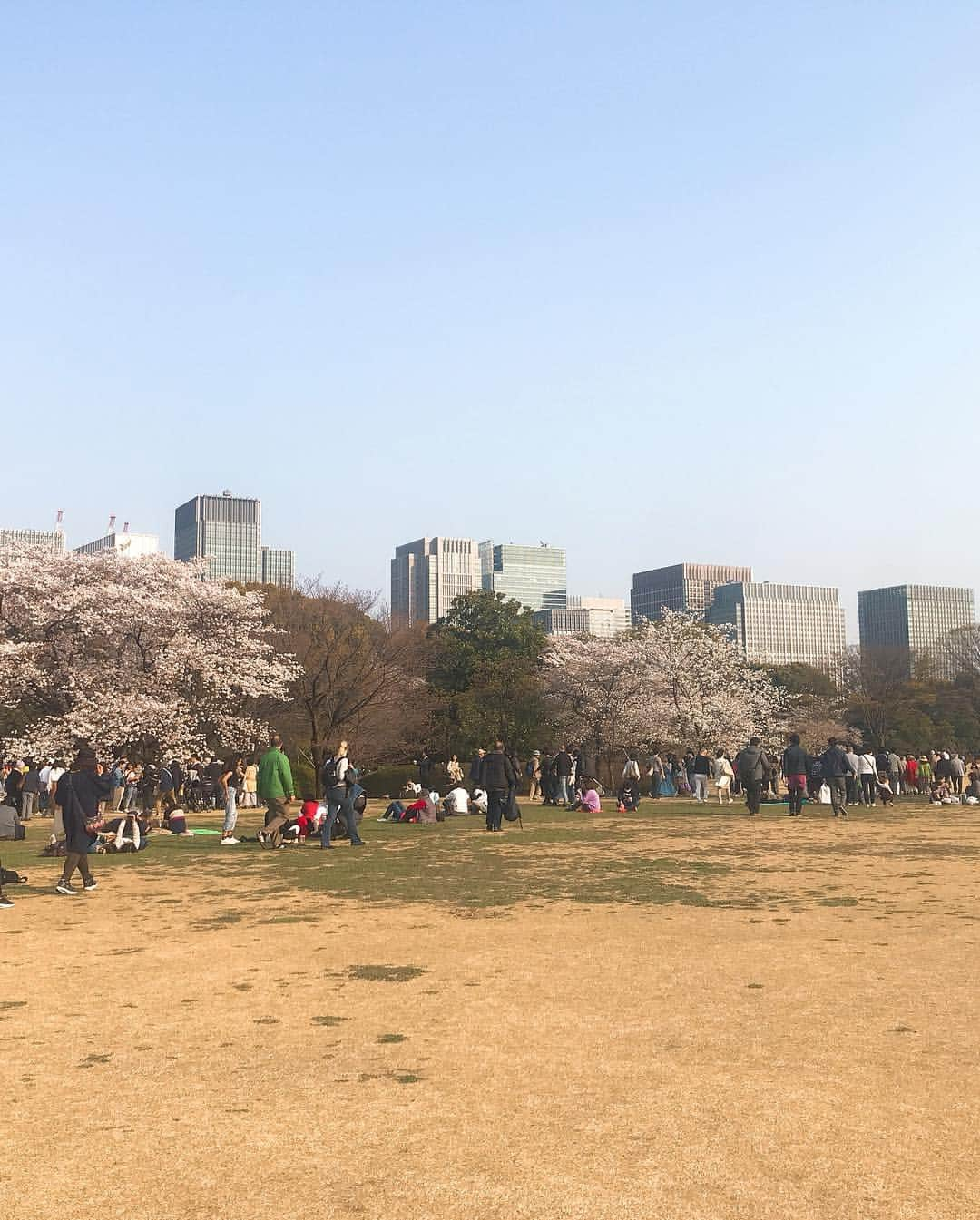 日下裕江さんのインスタグラム写真 - (日下裕江Instagram)「皇居東御苑  こっちも綺麗な桜咲いてた🌸 御苑にみんなシート持って行って ゴロゴロ昼寝したり、ピクニックしたりしててビックリ😳‼️ え⁈ 皇居東御苑だったら そんな事できるの⁈😳 あ！でも外濠公園も出来るから良いのか✨笑  #皇居東御苑 #皇居東御苑の桜 #皇居東御苑花見 #皇居」4月7日 23時18分 - hiroe___h