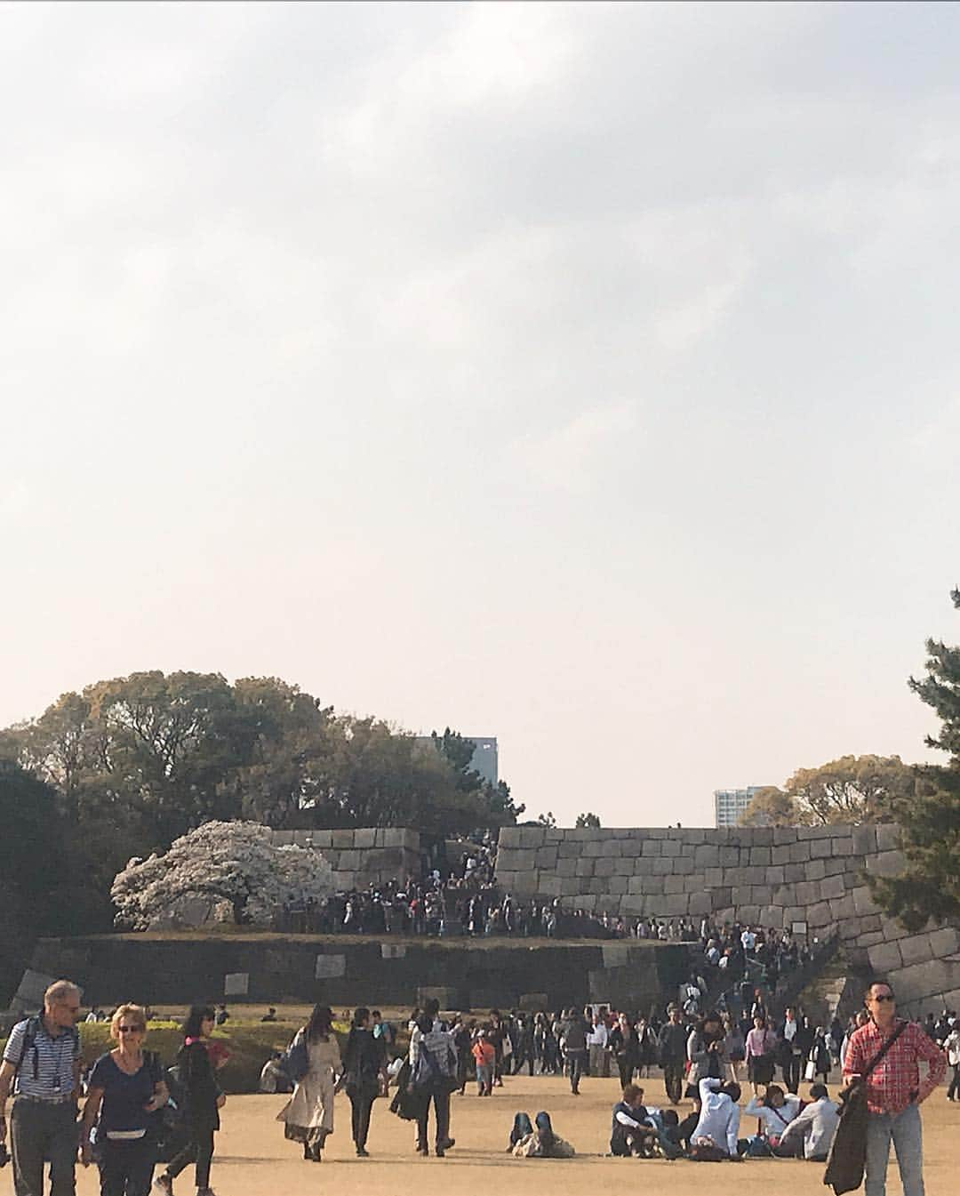 日下裕江さんのインスタグラム写真 - (日下裕江Instagram)「皇居東御苑  こっちも綺麗な桜咲いてた🌸 御苑にみんなシート持って行って ゴロゴロ昼寝したり、ピクニックしたりしててビックリ😳‼️ え⁈ 皇居東御苑だったら そんな事できるの⁈😳 あ！でも外濠公園も出来るから良いのか✨笑  #皇居東御苑 #皇居東御苑の桜 #皇居東御苑花見 #皇居」4月7日 23時18分 - hiroe___h