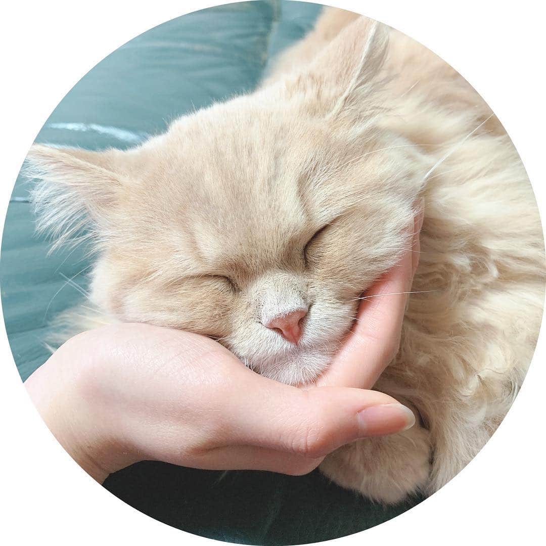 伊藤千由李のインスタグラム