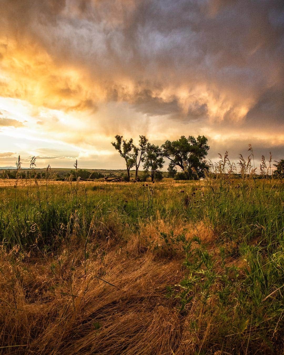 アンジー・ペインさんのインスタグラム写真 - (アンジー・ペインInstagram)「Sunset over east Boulder, summer 2018. When people think of Colorado, mountains usually come to mind before plains. But don’t count out those flat spaces, because great things happen there too. • • • • • #landscape #landscapephotography」4月7日 23時39分 - angelajpayne