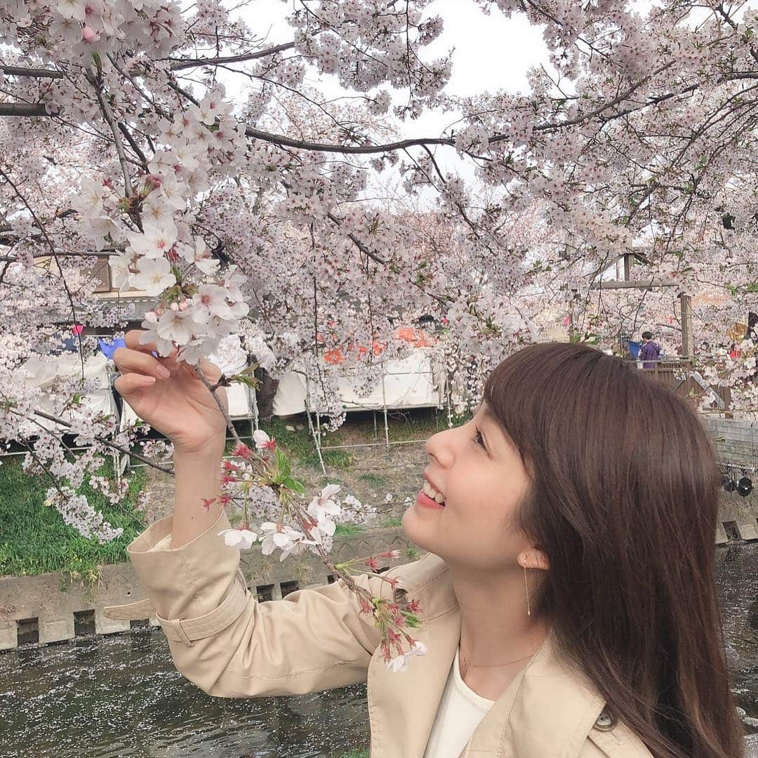 中島遥さんのインスタグラム写真 - (中島遥Instagram)「桜に癒された一日🌸 風で花びらが散っててそれまた綺麗だった(*^^*) ゆっくり見ることが出来たし、楽しかった♪  #桜#cherryblossom #撮影会#撮影#model#モデル#portrait#ロケ#ファインダー越しの私の世界#東京カメラ部#カメラ#一眼レフ#フォロー#カメラ女子#follow#japan#japanesegirl #中島遥#いいね#コメント#ありがとうございます」4月7日 23時34分 - haruka_nakashima