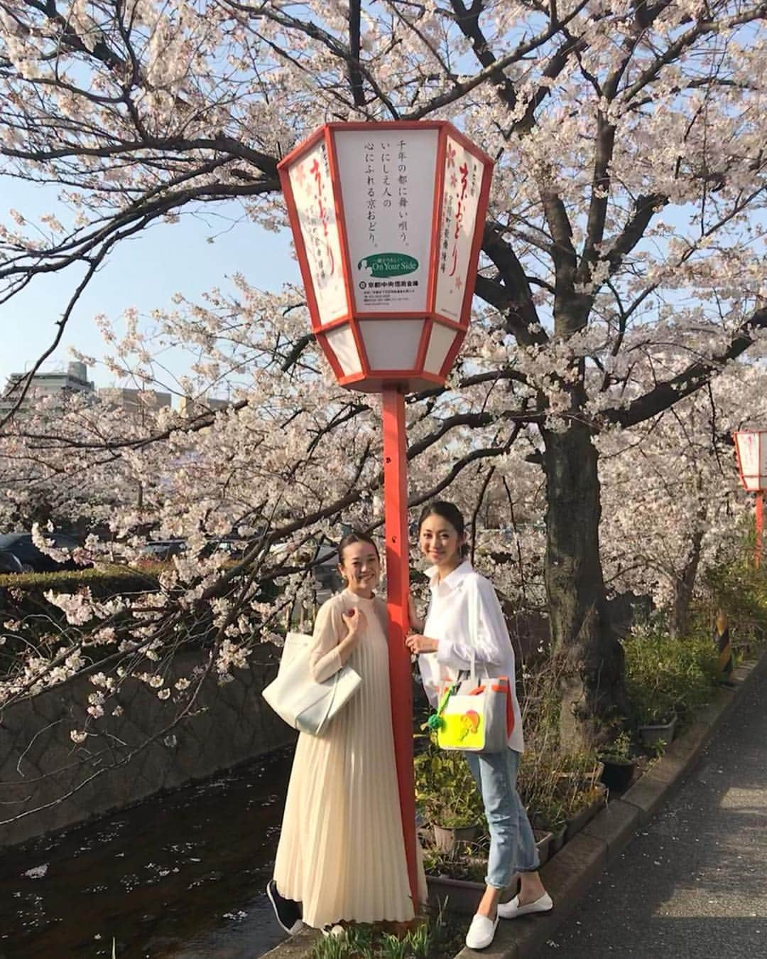 沢瀉美緒さんのインスタグラム写真 - (沢瀉美緒Instagram)「※ Walking 🚶‍♀️ around gion area🌸 . お散歩してたら思いがけず 桜スポットに🌸 . 綺麗な高瀬川の桜も。 . . #京都 #kyoto #桜 #祇園 #gion #cherryblossom #sakura #満開 #春爛漫 #高瀬川」4月7日 23時45分 - mio_omodaka