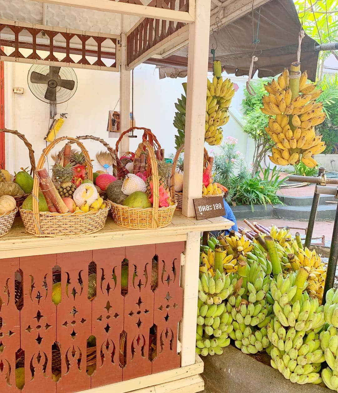 のインスタグラム：「ผลไม้เมืองไทย🍉🍌🍍🍐🍎🍋🇹🇭 . . 果物が安い🙈💕✨ タイのバナナね、いろいろ種類があって🍌私は小さくてモチモチしたバナナが好き💛あれ日本で売ってないのかなー？💕 . . . #มิมุ #ไม่ใช่มุมิ  #พิพิธภัณฑ์ #ผลไม้ #mimusdiary #cchannel_th #museum #bangkoklife #stainedglass #bangkok #sightseeing #trip #japanese #thai #バンコク #バンコク生活  #バンコク旅行 #タイ旅行 #海外生活 #タビジョ #タイ生活  #エラワンミュージアム」