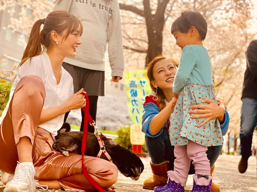 あびる優さんのインスタグラム写真 - (あびる優Instagram)「今年はたくさんお花見できた😊🌸💕 よつ葉とぷーちゃんは仲良しなの☺️❣️ 2人を見てると癒される☺️💕 #家族#娘#愛娘#四葉のクローバー #愛しい#かわいい#癒し#大好き#桜#さくら#花見#幸せ#笑顔#満開#family#daughter #clover#love#cute#sakura#hanami#happy#fun#smile#love#iloveyou」4月8日 0時43分 - yuabiru74