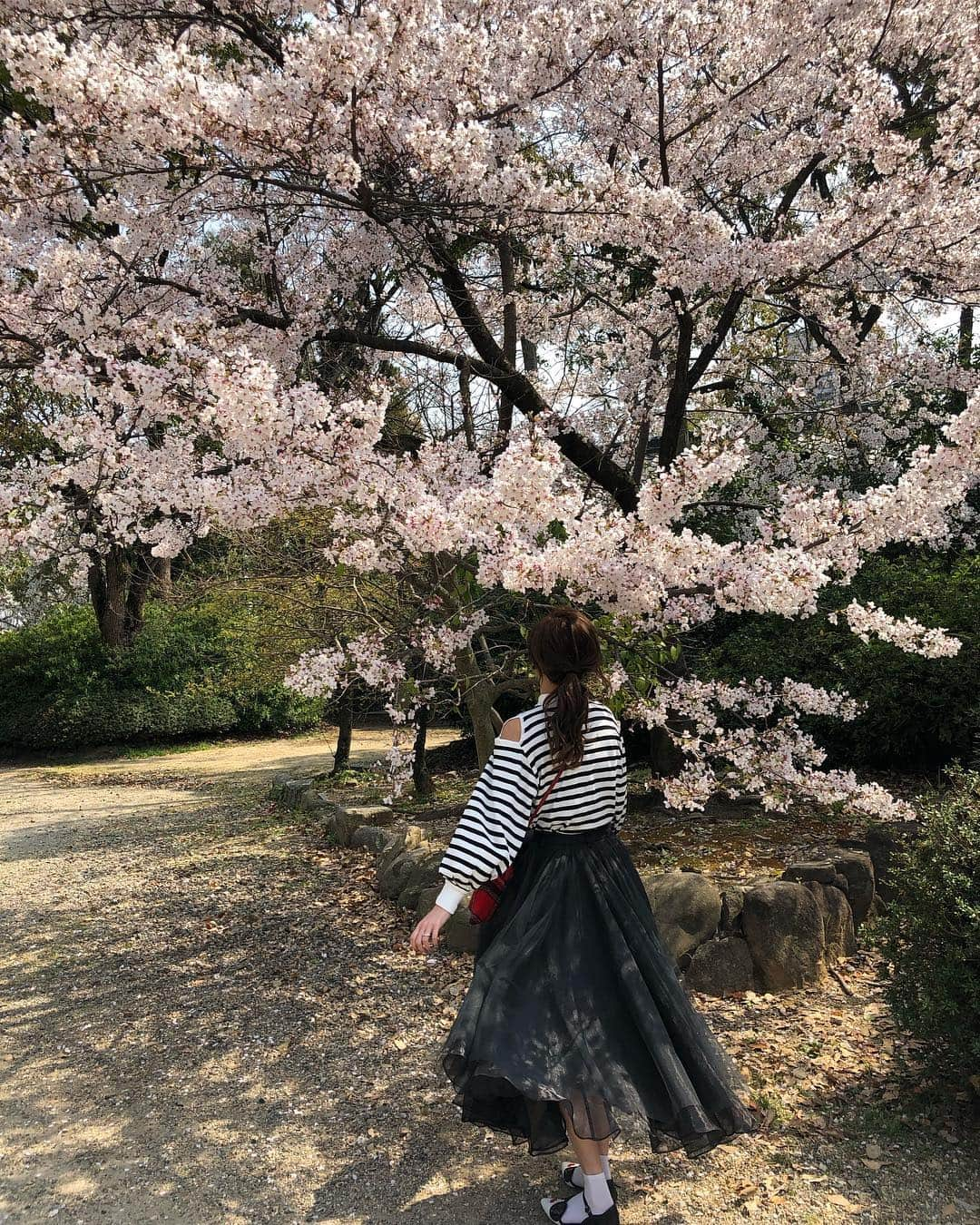 木村安梨沙さんのインスタグラム写真 - (木村安梨沙Instagram)「大阪城の桜が綺麗だった🌸」4月8日 0時43分 - arisa1208