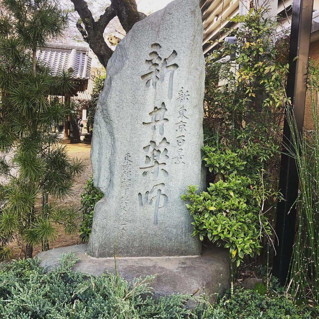 有奈めぐみさんのインスタグラム写真 - (有奈めぐみInstagram)「今年もっとも沢山魅せてくれた、新井薬師のソメイヨシノ、枝垂れ桜、梅みたいな色の濃いピンクの雅。 #av  #av女優  #40歳  #熟女  #風俗嬢  #渋谷  #原宿  #新井薬師  #花見  #桜  #🌸」4月8日 0時46分 - arina_megu