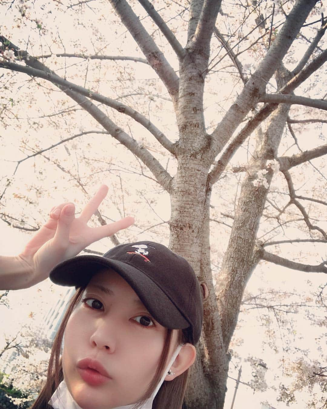 真野ゆりあさんのインスタグラム写真 - (真野ゆりあInstagram)「. 桜🌸 . #🌸 #桜  #お花見 #綺麗だった  #やっと春が来たかな  #楽しかった  #満喫  #たくさんあるいて疲れた  #おやすみなさい💤」4月8日 0時52分 - mano_yuria