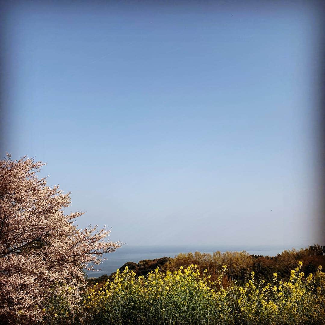 有森裕子さんのインスタグラム写真 - (有森裕子Instagram)「小田原 プチ散歩」4月8日 1時07分 - arimori.yuko33