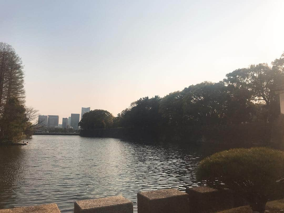 日下裕江さんのインスタグラム写真 - (日下裕江Instagram)「皇居  夕暮れ時 濠の水面に反射する陽射しが幻想的で美しかった✨  #皇居内濠 #内濠 #夕暮れ時の皇居 #夕暮れ時 #夕陽」4月8日 1時05分 - hiroe___h