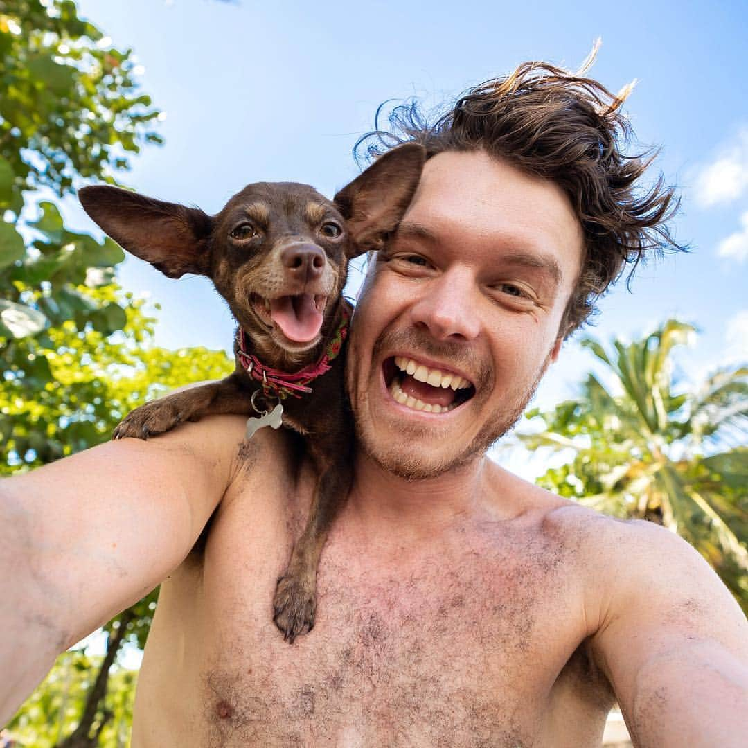 アラン・ディクソンさんのインスタグラム写真 - (アラン・ディクソンInstagram)「She’s ok if you talk about the size of her ears👌🐶🤗 Embrace yourself 💕 #dogsofinstagram #animalselfie #DaxonsAnimalSelfies #instadog #instapuppy #dogstagram #dogsmile #guyselfie #selfie #dogselfie #puppyselfie」4月8日 1時26分 - daxon