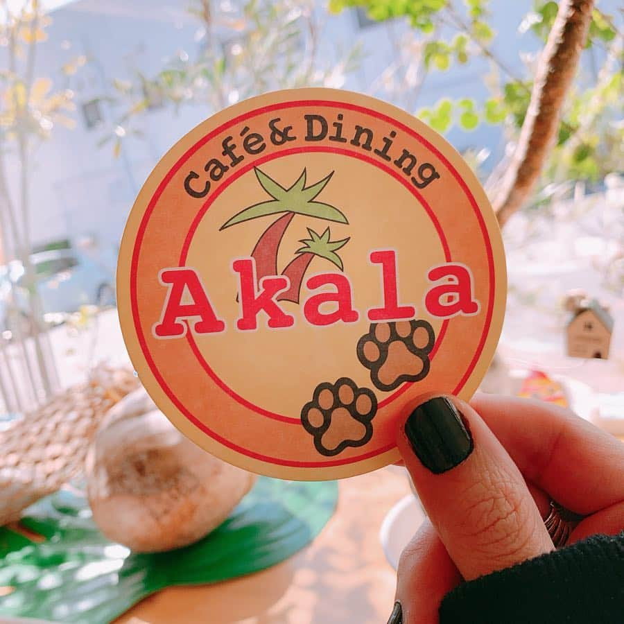 JULIANさんのインスタグラム写真 - (JULIANInstagram)「🏝🌺ハワイアンカフェダイニング🌺🏝 ☺︎☻☺︎ ☻☺︎『Akala』☺︎☻☺︎ ☻☺︎ @akala.dogcafe 〜〜〜パート①〜〜〜 限定メニュー食べに行って来たよ〜☆ 何食べたかパート②と③の投稿で紹介しま〜す♡ ✟☻✟☻✟☻✟☻✟☻✟☻✟☻✟ #アカラ #神戸 #明石 #神戸カフェ #明石カフェ #神戸カフェ巡り  #カフェ部 #カフェ活 #カフェ  #カフェ巡り #カフェ好き  #カフェスタグラム  #カフェ巡り好きな人と繋がりたい  #カフェ好きな人と繋がりたい  #スイーツ #デザート #ハワイ #いちご #パフェ #アイス #チーズ #ケーキ #パンケーキ  #インスタ映え #フォトジェニック #cafe #photogenic #dessert  #dessertporn #dessertstagram ✟☻✟☻✟☻✟☻✟☻✟☻✟☻✟」4月8日 1時28分 - julian_official_jp