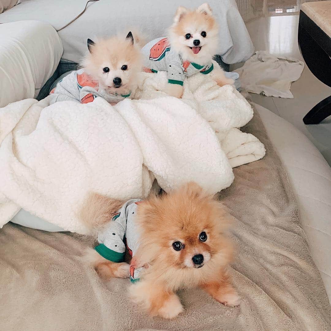 r_oseのインスタグラム：「Matching outfits 🍉🍉🍉〰️」