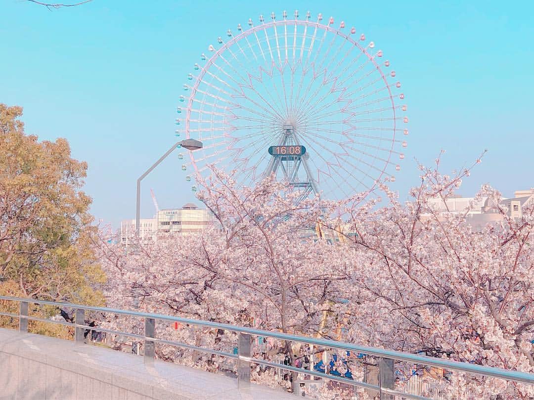 大河原あゆみさんのインスタグラム写真 - (大河原あゆみInstagram)「"桜木町"  とはよく言ったもので、  この地元の桜が一番好き🌸 ・ #さくら #桜 #櫻 #sakura #サクラ #桜木町 #お花見 #日本丸 #みなとみらい」4月8日 1時57分 - ayumiookawara