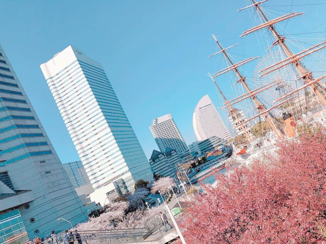 大河原あゆみさんのインスタグラム写真 - (大河原あゆみInstagram)「"桜木町"  とはよく言ったもので、  この地元の桜が一番好き🌸 ・ #さくら #桜 #櫻 #sakura #サクラ #桜木町 #お花見 #日本丸 #みなとみらい」4月8日 1時57分 - ayumiookawara