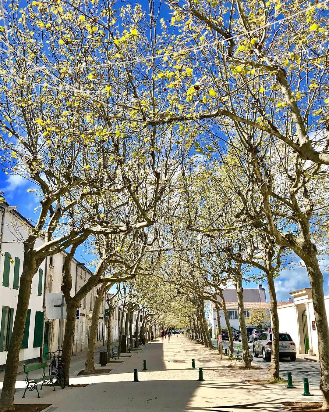 小原宏貴さんのインスタグラム写真 - (小原宏貴Instagram)「空は美しく、街並は情緒に溢れ、並木は心地よい。穏やかな風とともに、ゆったりと時間が流れるイル・ド・レ。  Beautiful sunday in Île de Ré.  #こんなに天気が良いのに #サングラス忘れて目が痛い笑 #LaRochelle  #îlederé」4月8日 2時23分 - ohararyu_ohara.hiroki