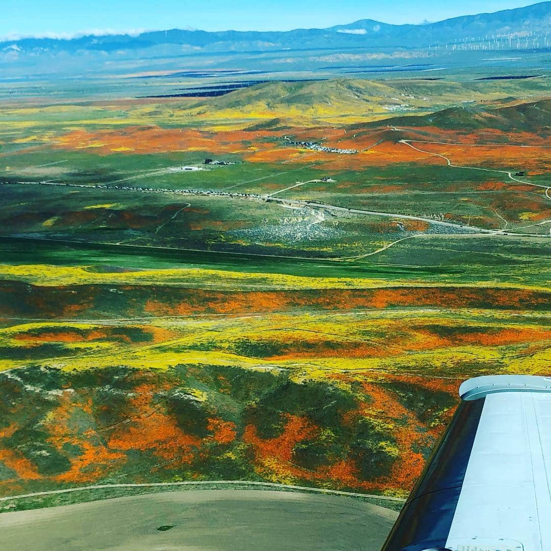 タナー・フォウストさんのインスタグラム写真 - (タナー・フォウストInstagram)「Sometimes it’s all about poppy’s ... 🤷🏻‍♂️#f33a @beechcraft #getoutandfly」4月8日 2時54分 - tannerfoust