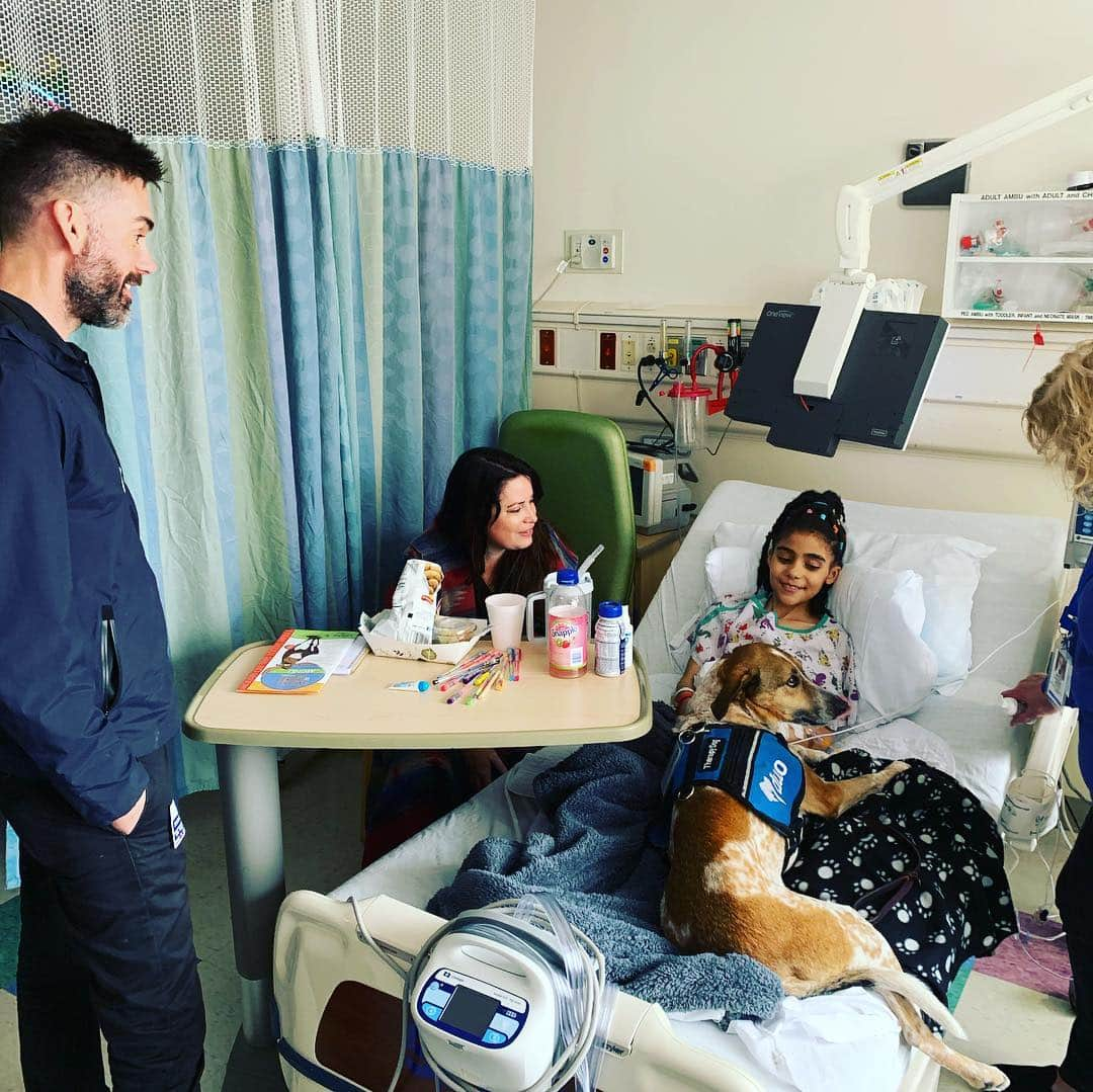 ホリー・マリー・コームズさんのインスタグラム写真 - (ホリー・マリー・コームズInstagram)「Thank you @stlchildrens for all the amazing work you do and @purina for the amazing family pet room where kids get to have their own dogs or cats come to visit them at the hospital. This hospital does very special things for kids that make a huge difference. So glad we got to visit. @wizardworld #stlouis」4月8日 3時35分 - thehmc