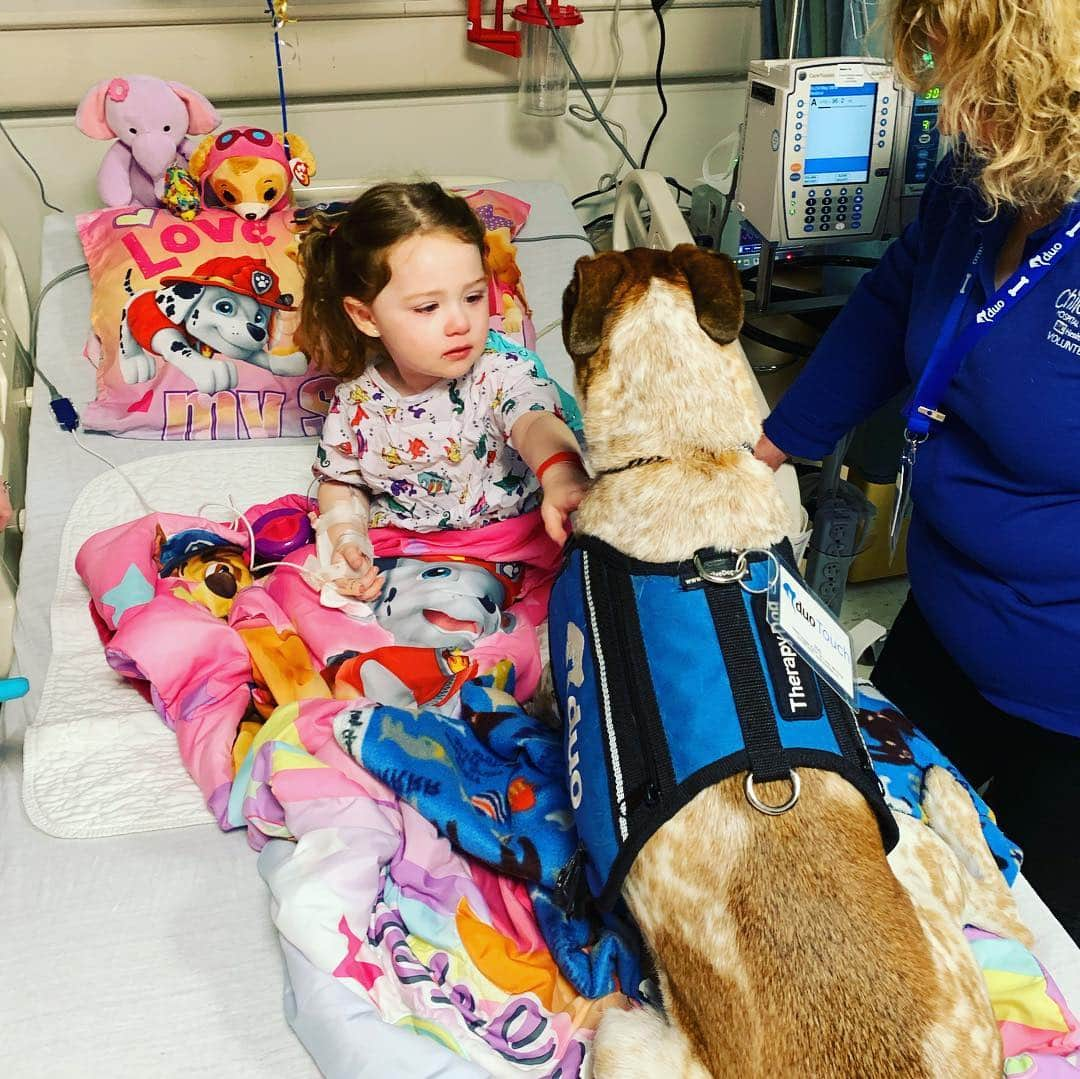 ホリー・マリー・コームズさんのインスタグラム写真 - (ホリー・マリー・コームズInstagram)「Thank you @stlchildrens for all the amazing work you do and @purina for the amazing family pet room where kids get to have their own dogs or cats come to visit them at the hospital. This hospital does very special things for kids that make a huge difference. So glad we got to visit. @wizardworld #stlouis」4月8日 3時35分 - thehmc