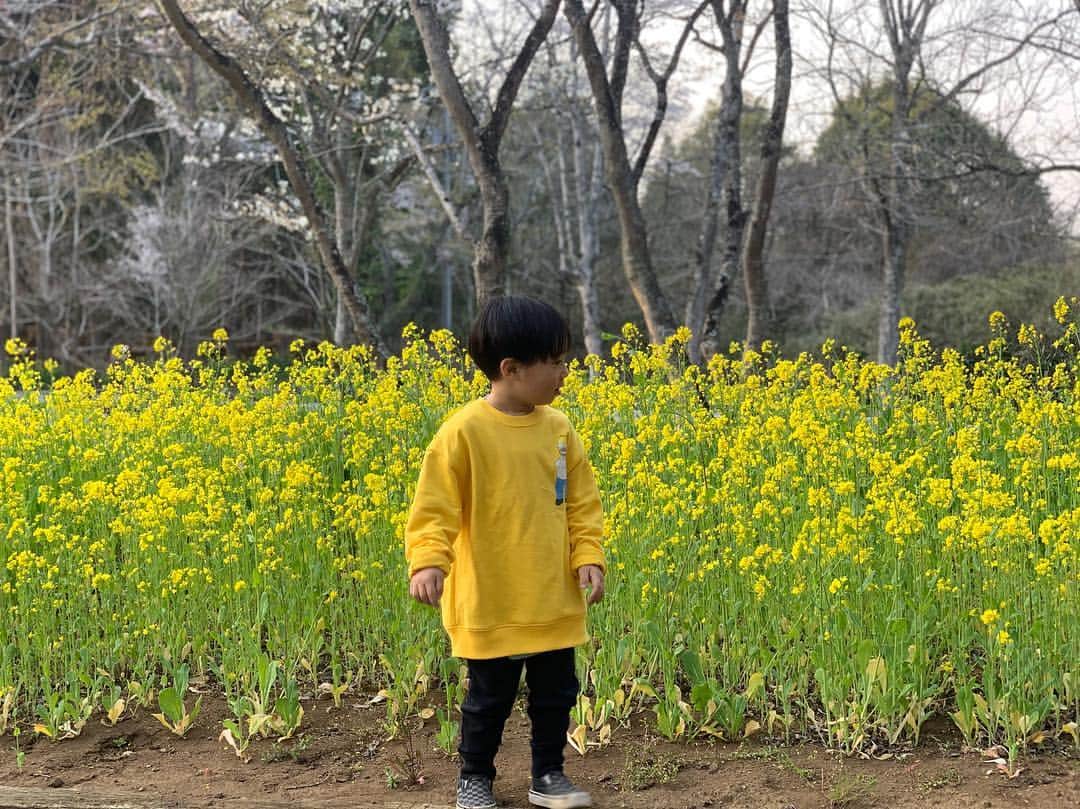 新原愛加のインスタグラム：「💛  #カンタ成長記録 #3歳男の子 #男の子 #男の子ママ #boys #boysmom #아들스타그램 #아들 #아들맘」