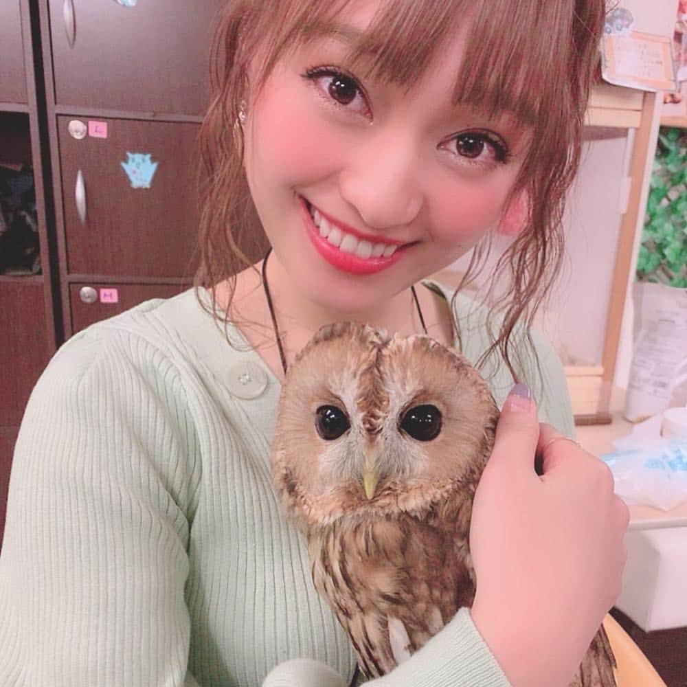 犬塚あさなさんのインスタグラム写真 - (犬塚あさなInstagram)「子供感。笑笑  #わたど〜る #わたあめちゃん #おきゃわ #フクロウ #フクロウカフェ」3月15日 11時50分 - wanchan_0319
