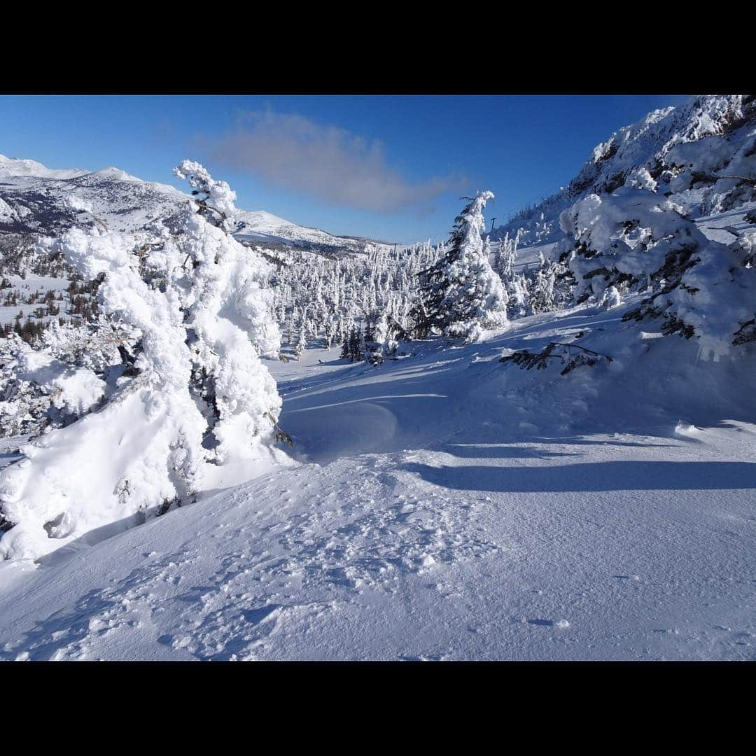 上田ユキエさんのインスタグラム写真 - (上田ユキエInstagram)「Bluebird, Powder, So Peaceful Weekdays💕 今週のマンモスはパウダーいっぱい❄️最高のコンディションです💯 来週はまた雪予報。まだまだ冬ですよ〜。 #mammothmarch #snowboarding #mammothlife #bluebird #powder #peaceful」3月15日 12時08分 - yukie_ueda