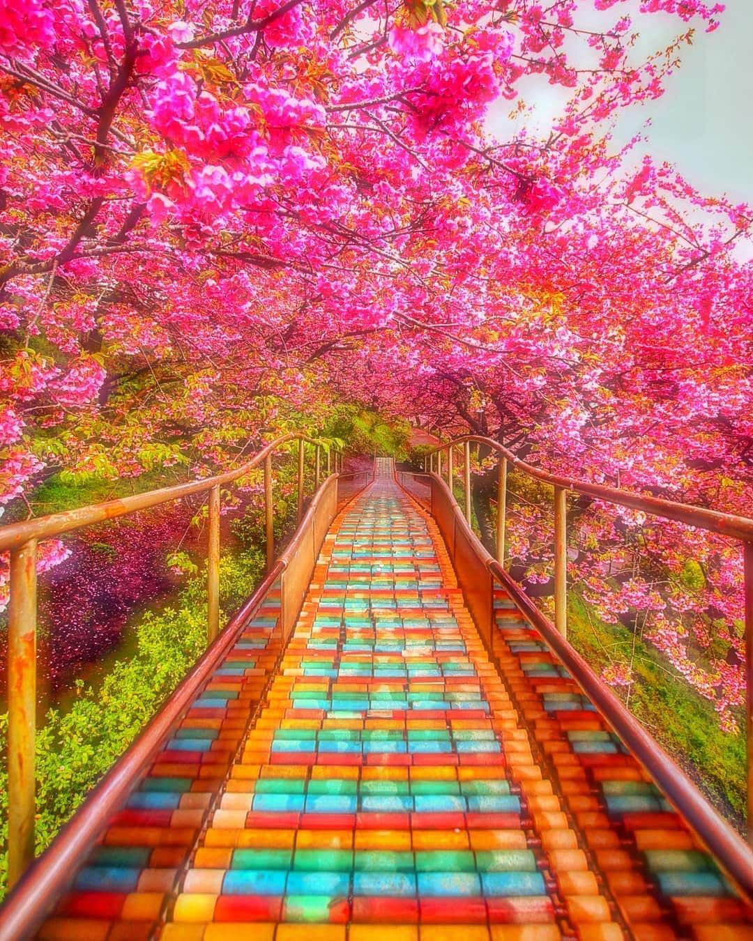 エイチ・アイ・エスのグルメインスタ