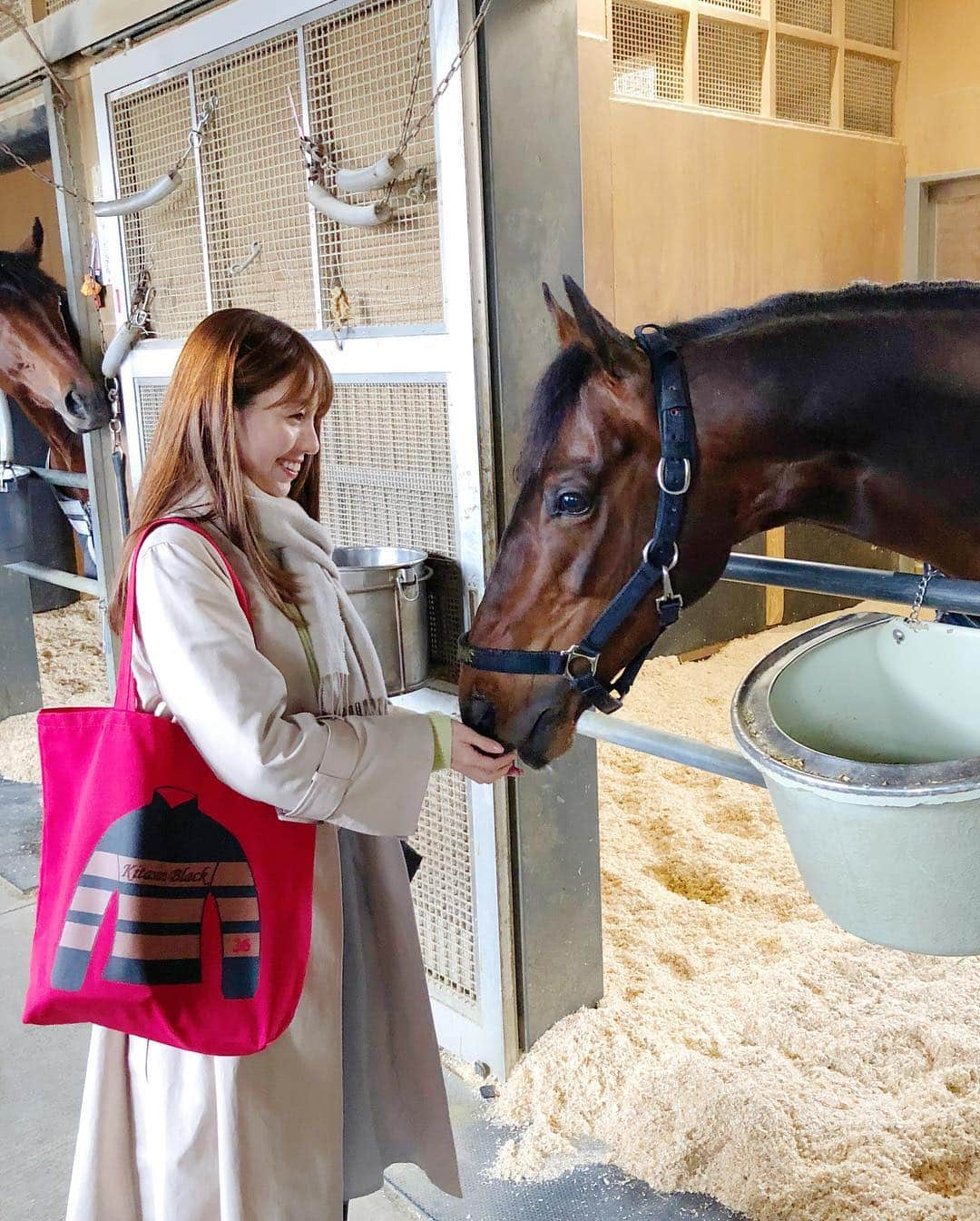 松中みなみさんのインスタグラム写真 - (松中みなみInstagram)「栗東トレセン取材🐴🌟 ・ 追い切り終わったあとに 庄野厩舎におじゃまして、今週末の#阪神大賞典 に出走予定の 🐴リッジマン🐴に会ってきたよ✨  人参ぽりぽり🥕可愛かったぁぁ💓 隣の子の視線が…😂🙏 ・ 阪神大賞典も最高の結果になりますように…🌟🌟🌟 ・ ・ ・ #競馬 #栗東トレセン #取材 #🏇 #サンスポ #サンスポzbat  #庄野厩舎 #リッジマン #人参大好き  #指も食べられた 😂 #競馬女子 #umajo #松中みなみ  #トートバッグ #キタサンブラック ❤️」3月15日 12時36分 - minami_matsunaka