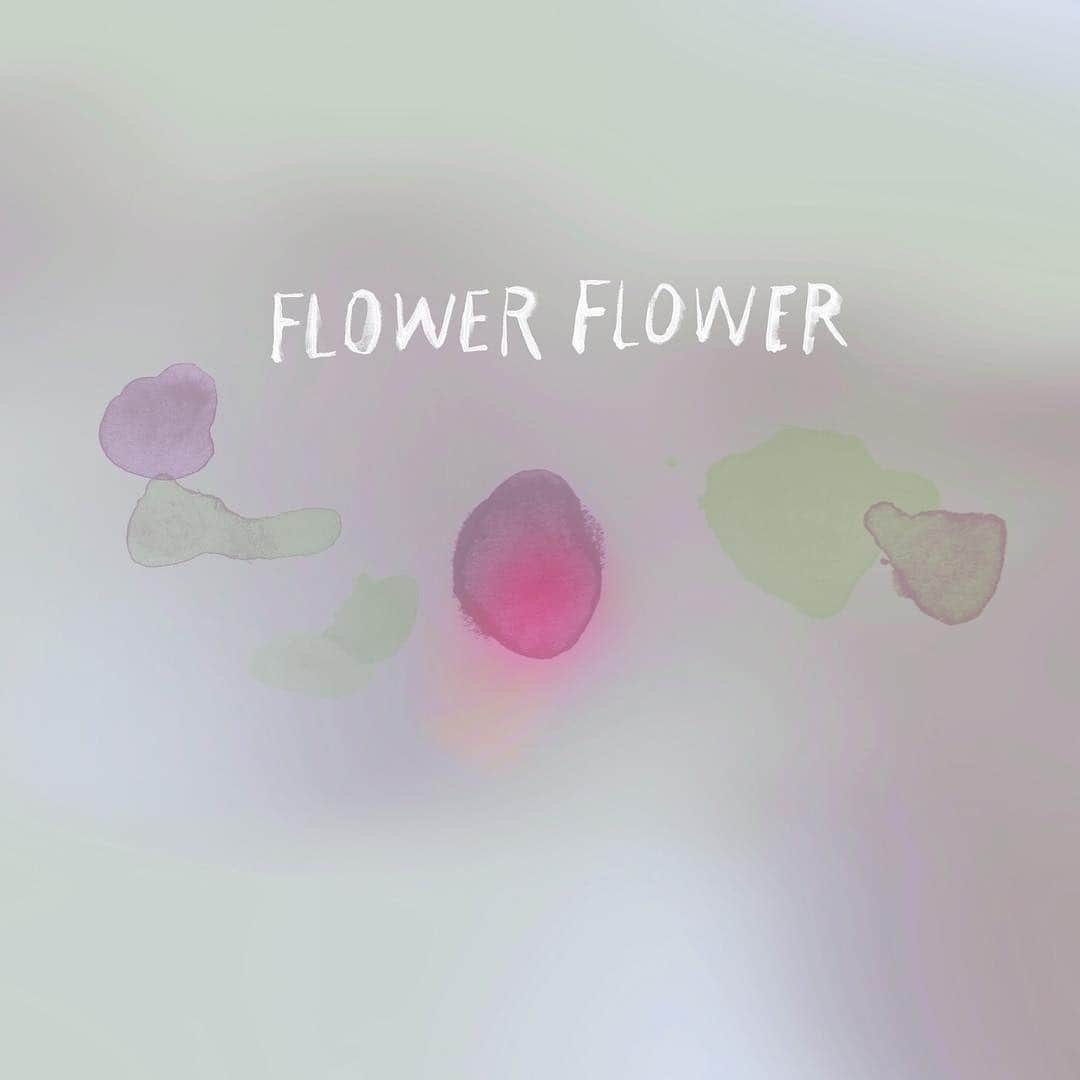 FLOWER FLOWERさんのインスタグラム写真 - (FLOWER FLOWERInstagram)「淡い  #FLOWERFLOWER」3月15日 13時01分 - flower_flower_official