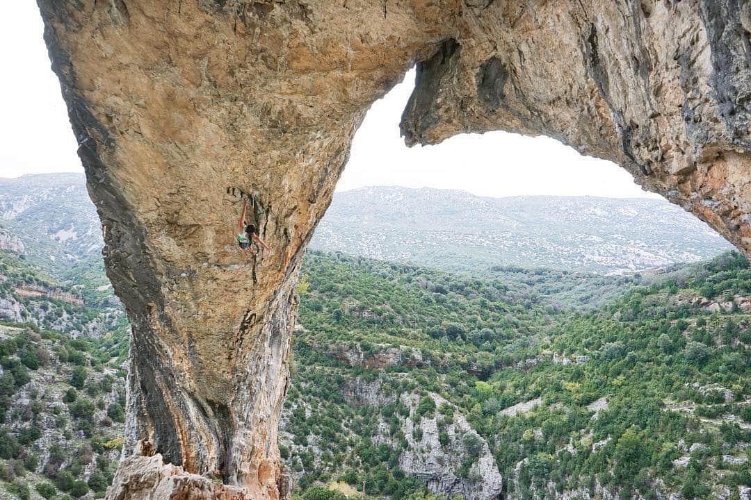 アラーナ・イップのインスタグラム：「Dreaming of climbing dolphins in Spain 😍  El Delfín 7c+  Photo @jj_mah」