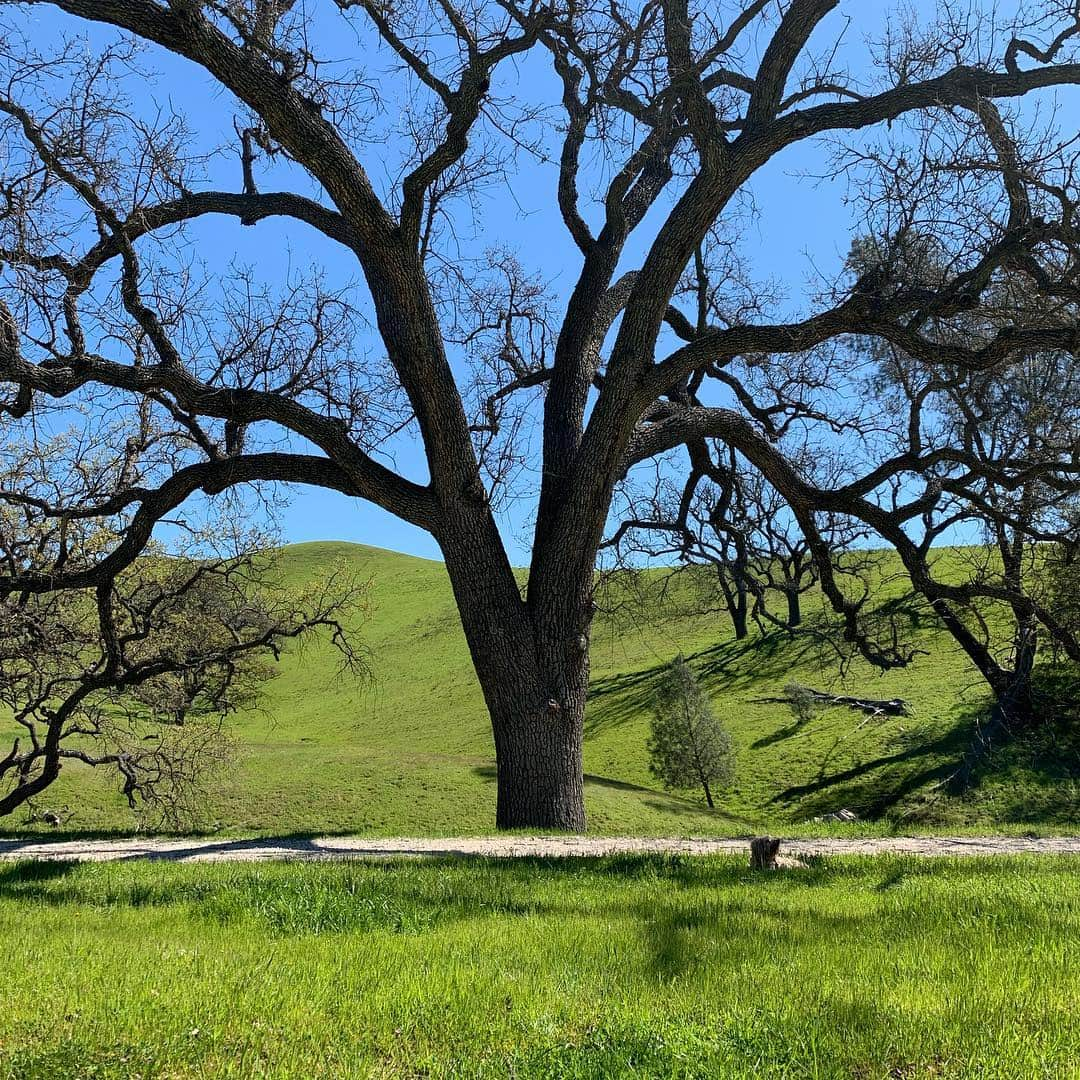 ホーランド・ロデンさんのインスタグラム写真 - (ホーランド・ロデンInstagram)「Nothing has changed. I still am in love with this scenery. And yes..Fievel always knows her best angles 🙄🙄🙄😂」3月15日 5時04分 - hollandroden