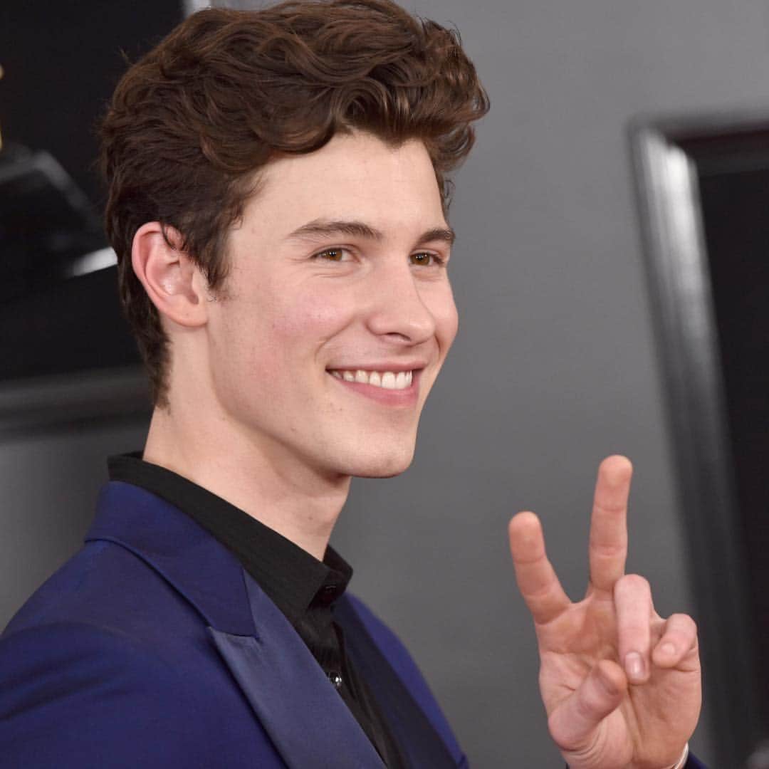 のインスタグラム：「Spending this afternoon contemplating #ShawnMendes’ signature red carpet pose. ✌️ Yes I made this an entire post. #tbt」