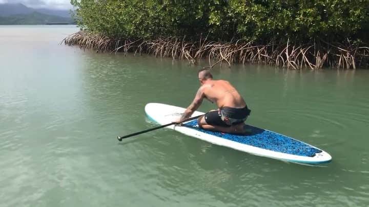 のインスタグラム：「Bon voyage #bye #luckywelivehawaii #coreworkout #fitnessmotivation #standuppaddle #headstandvariation #tattoos #noshirt #noshoes #stickthelanding」
