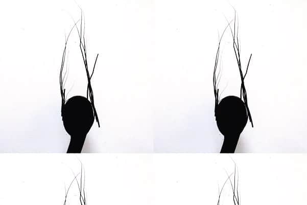 ピアーズアトキンソンさんのインスタグラム写真 - (ピアーズアトキンソンInstagram)「‘All The Rage’ #COUTURE2019 Look 21 Puma Black ostrich antennae #🦟🦟 #🕸 #🕷 #🐜 | Photography @leighkeily | Muse @auntpetuniasfriendz | #piersatkinson #bespoke #oneofakind #insect #bone #☠️ #feather #couture #👀 #‼️」3月15日 6時25分 - piersatkinson