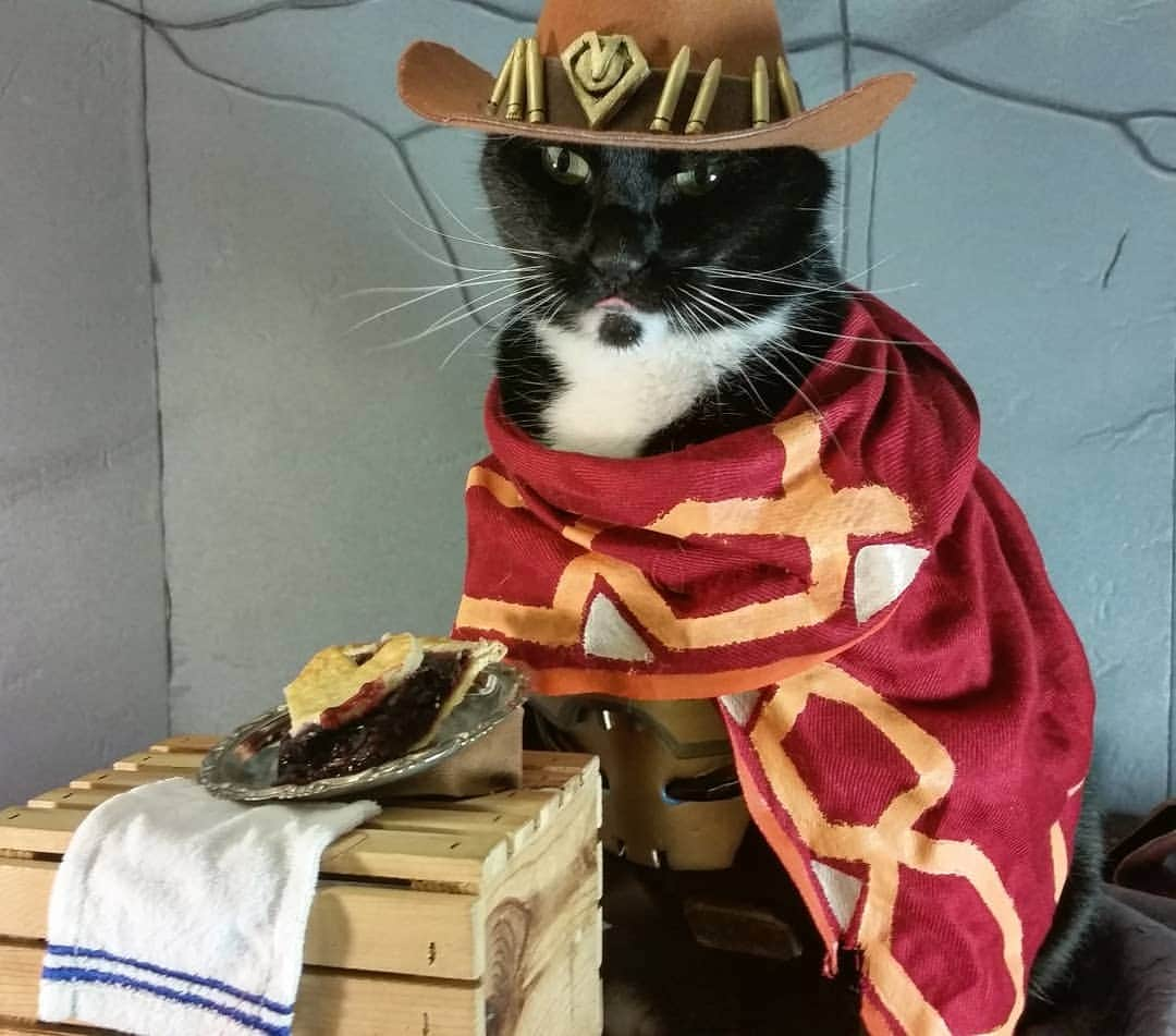 猫コスプレさんのインスタグラム写真 - (猫コスプレInstagram)「It's Pie Noon somewhere in the world... #PiDay #Overwatch #McCree . . . . . . . #mccreecosplay #OverwatchLeague #overwatchcosplay #OWL2019 #CatCosplay #pie #cosplay #videogames #videogamecosplay #blizzard #blizzardcosplay」3月15日 6時36分 - cat_cosplay