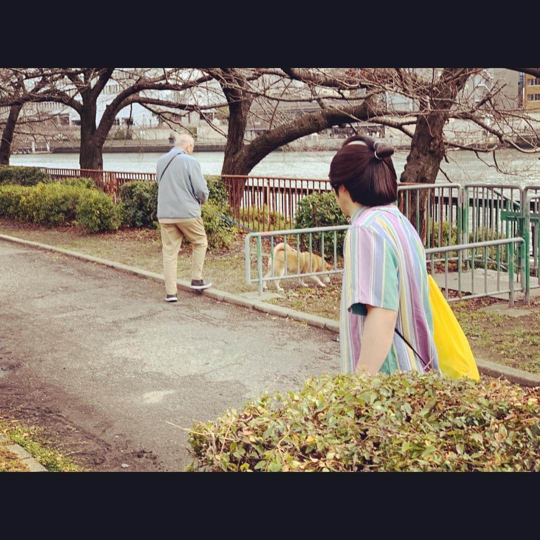 西澤裕介さんのインスタグラム写真 - (西澤裕介Instagram)「あの人もかな？ 岸です。空いてますのん？ 岸です！何してますのん？ 空いてますのん！？ #照れてはんのかな #みんな空いてるんやな #岸大介 #太秦の空き時間 #何してますのん」3月15日 13時27分 - uzumasano.akijikan