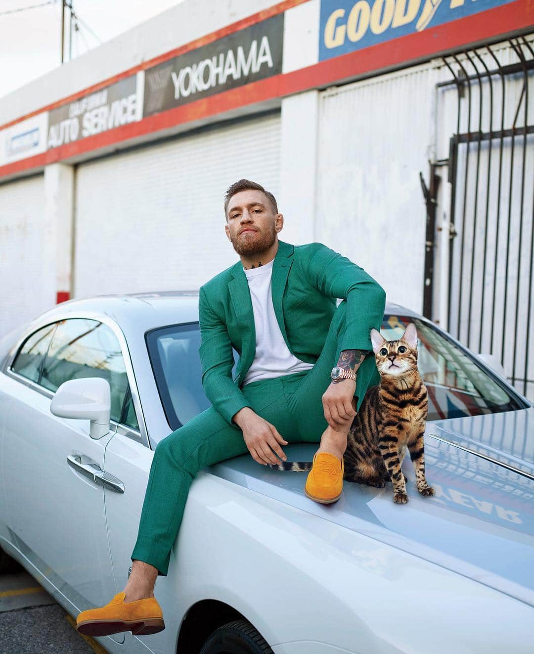 Celeb Bengal Cat · Simbaのインスタグラム：「Helping McGregor look Amazing 🔥 #love 🎯If you like my collages -> Become a Patron (link in BIO)」