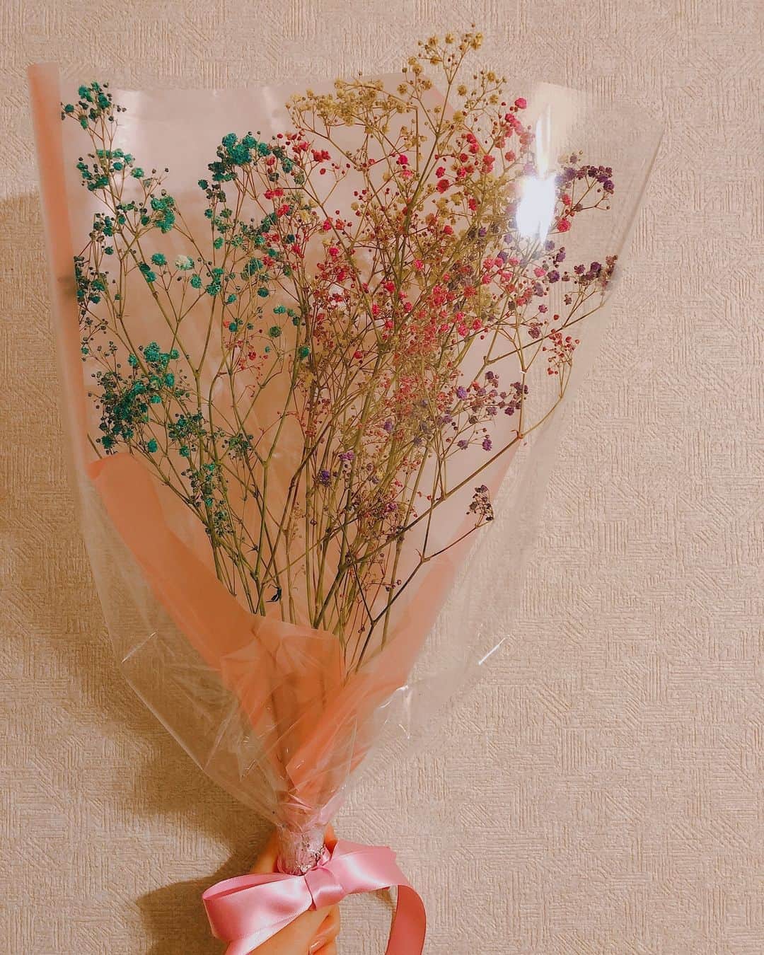 のインスタグラム：「＊ 2019.03.14 남친에게받았어💕고맙고 사랑해♥︎ 昨日はホワイトデーのお返しに わたしの大好きなかすみ草をくれました💕 なんと4色！💜💙💛❤️ こないだ2人で作った一輪挿しにぴったり♥︎ 可愛いし嬉しい！ありがとう☺️💞💞 #셀카#셀피#나#일상#여자#24살#94년생#일본인#패션#얼짱#셀스타그램#얼스타그램#인스타그램#맞팔은댓글#ホワイトデー#かすみ草#ポメラニアン#ポメラニアンが世界一可愛い」