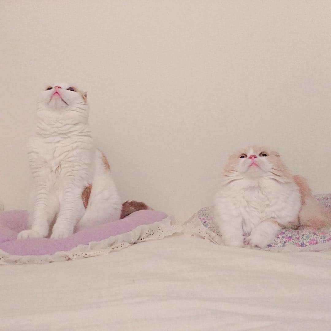 のんたのインスタグラム